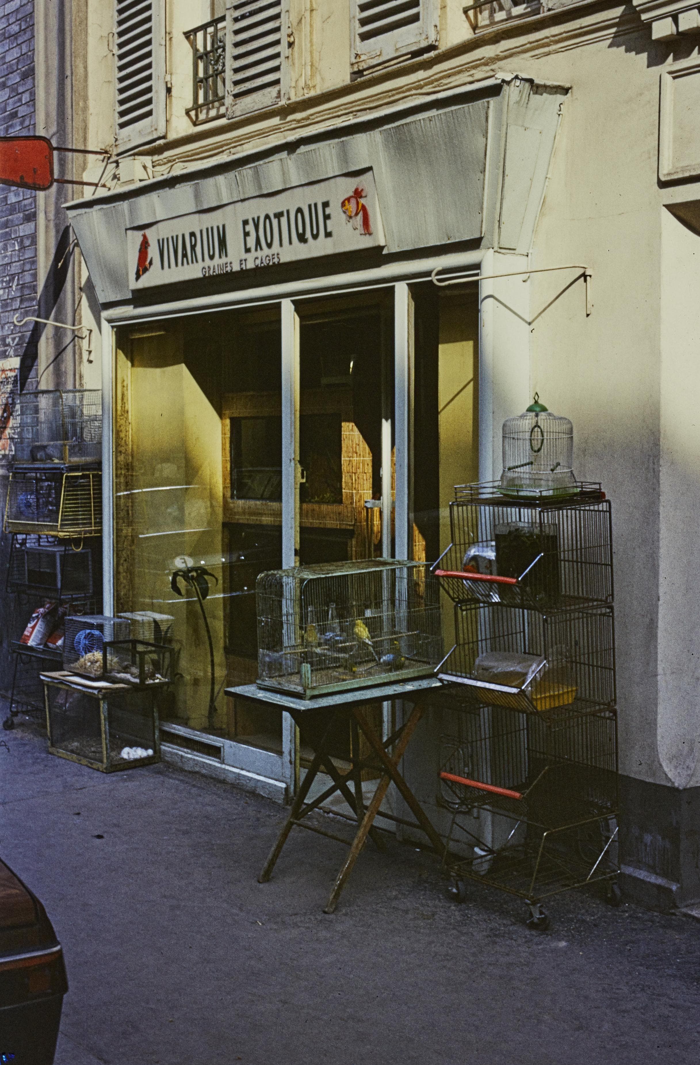 Photo d'archive