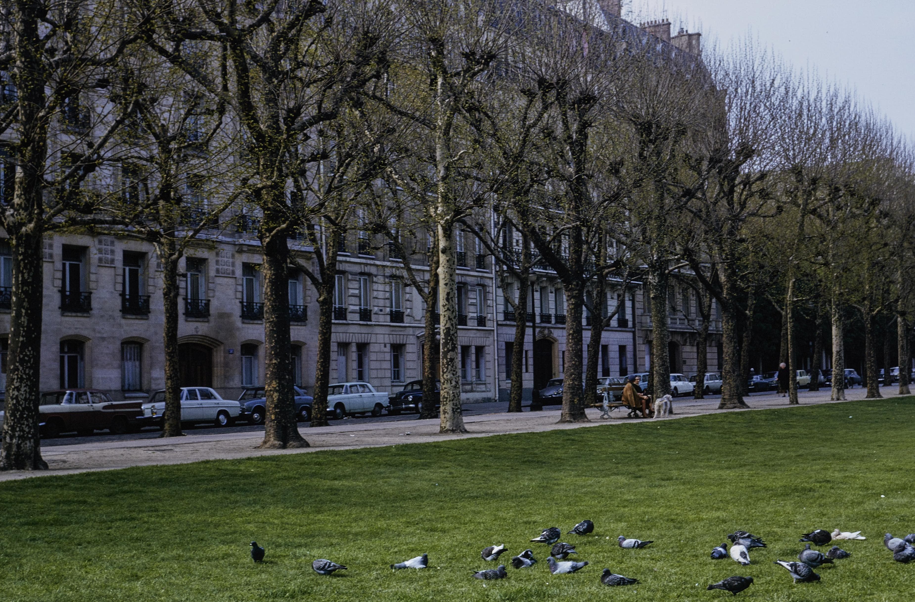 Photo d'archive