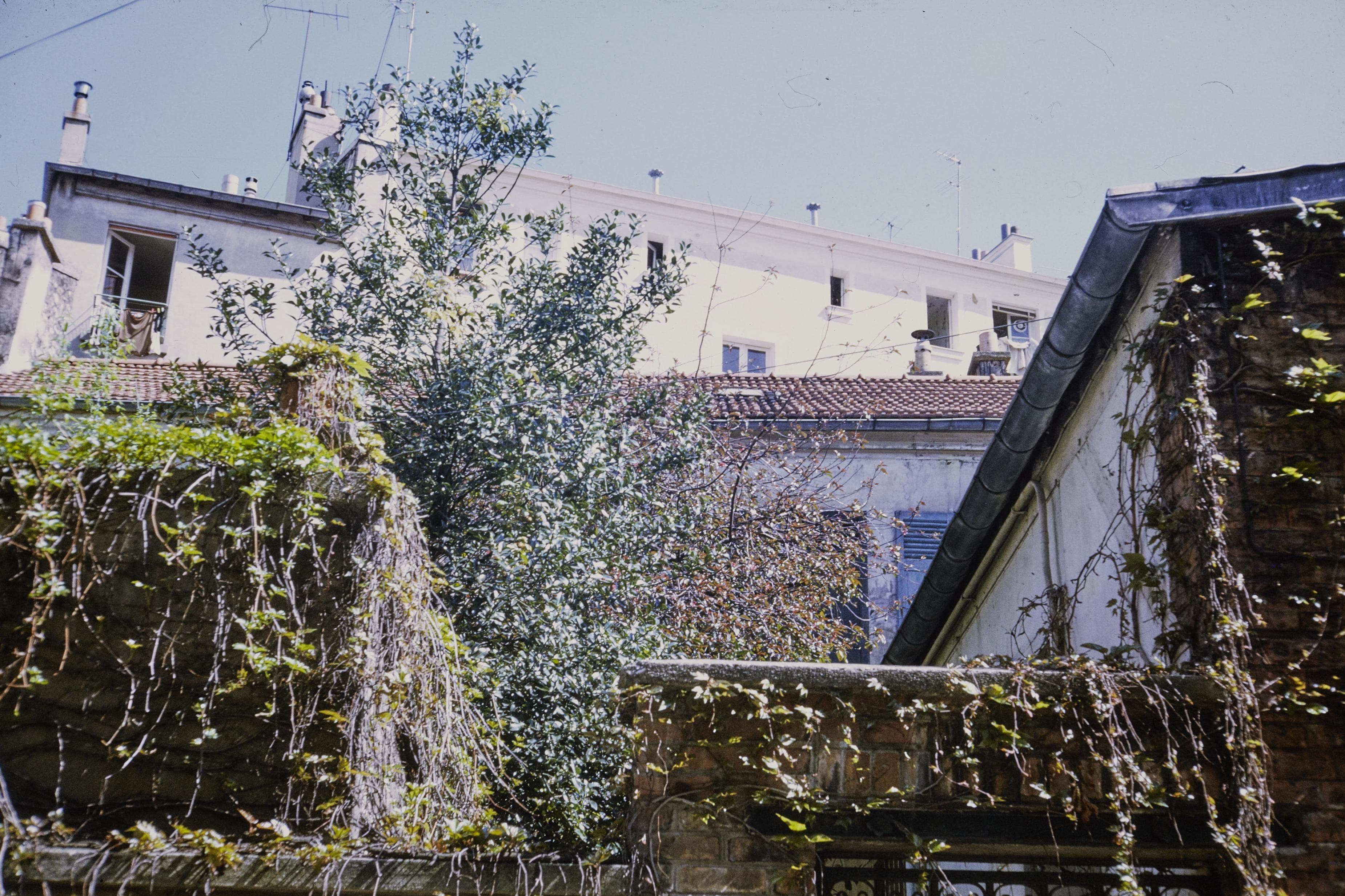 Photo d'archive