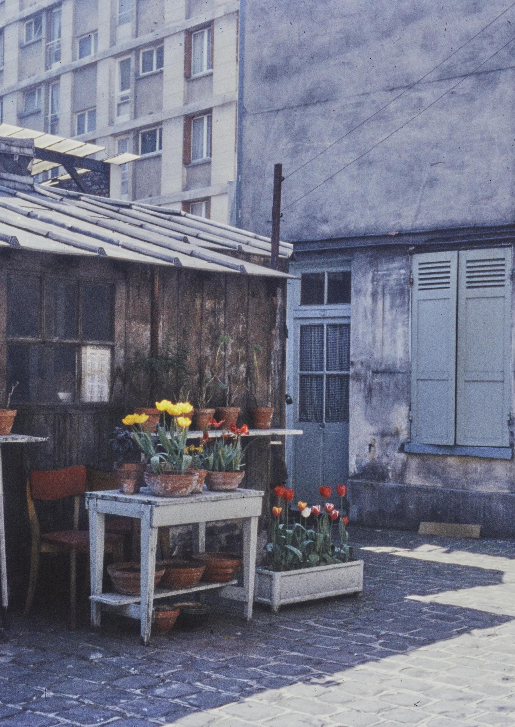 Photo d'archive