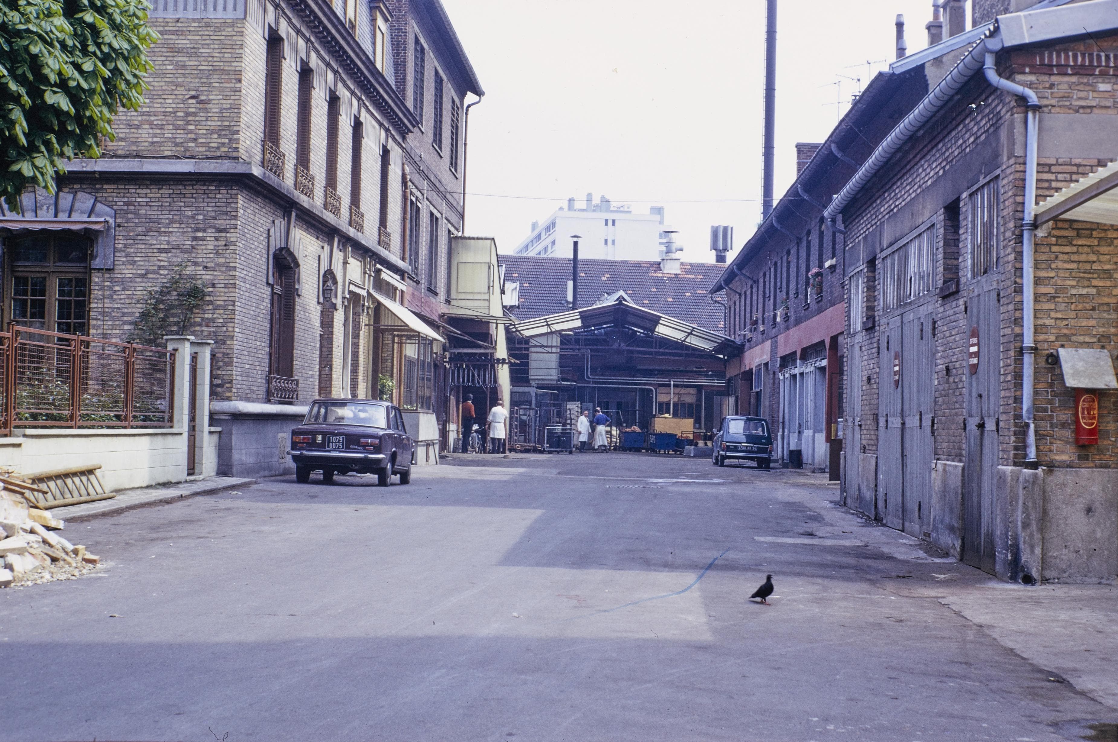 Photo d'archive