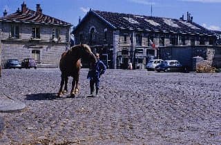 Photo d'archive