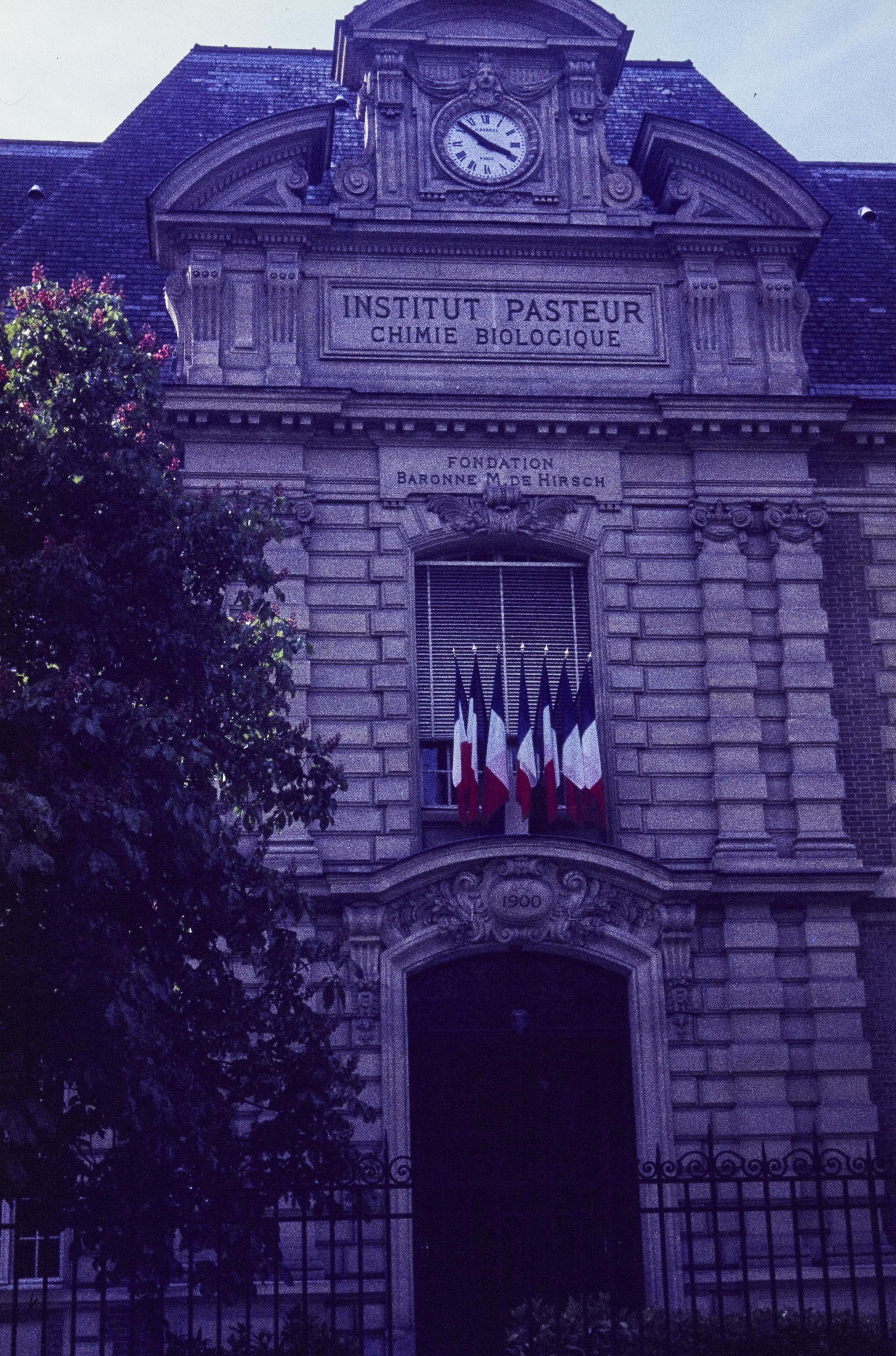 Photo d'archive