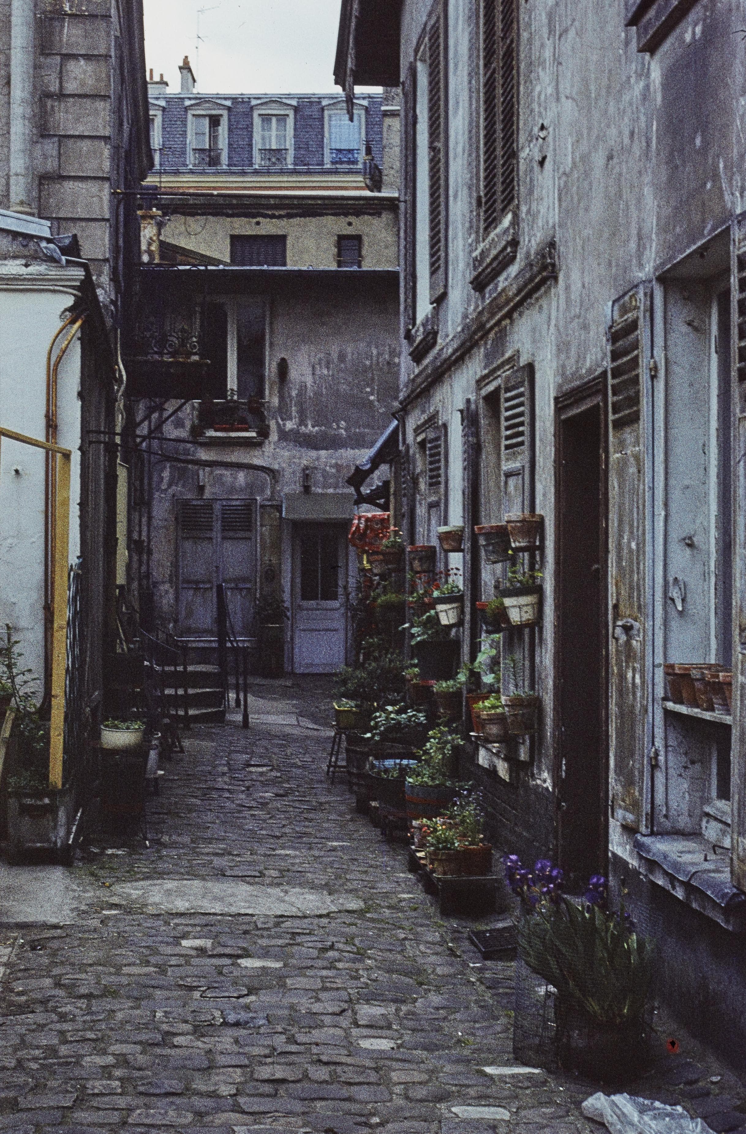 Photo d'archive