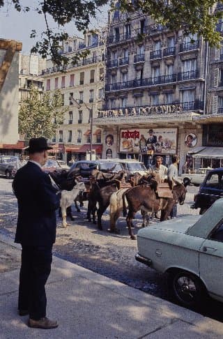 Photo d'archive