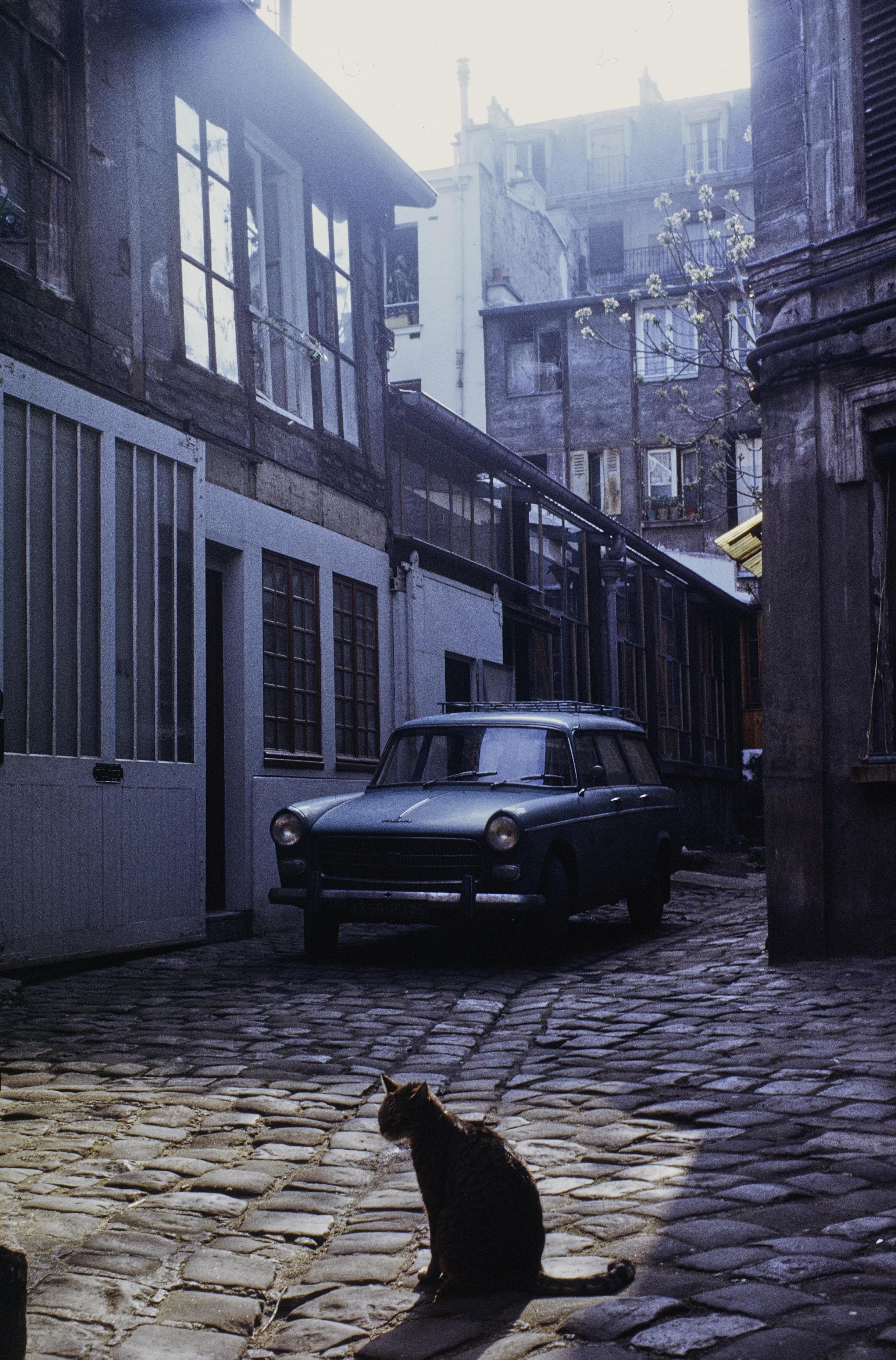 Photo d'archive