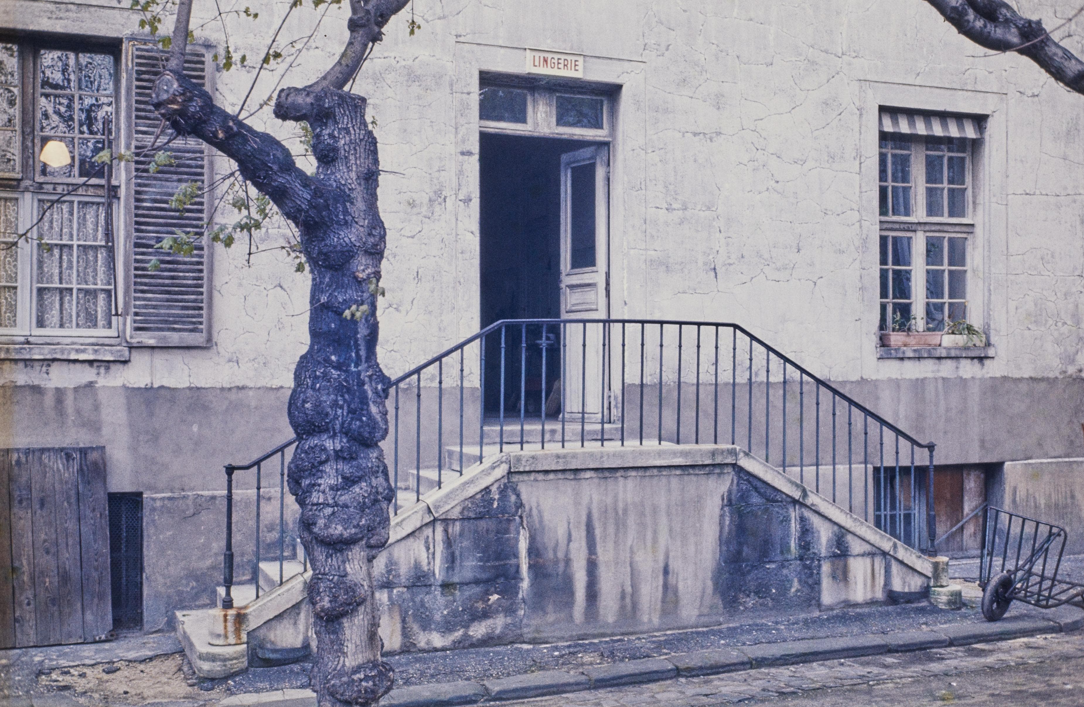 Photo d'archive