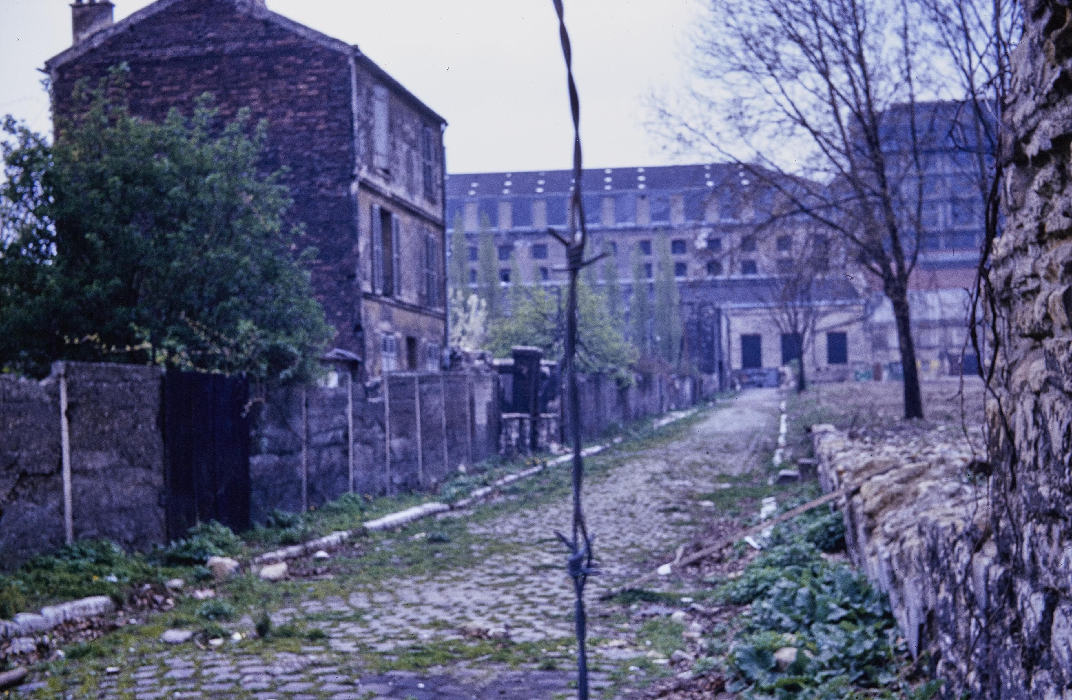 Photo d'archive