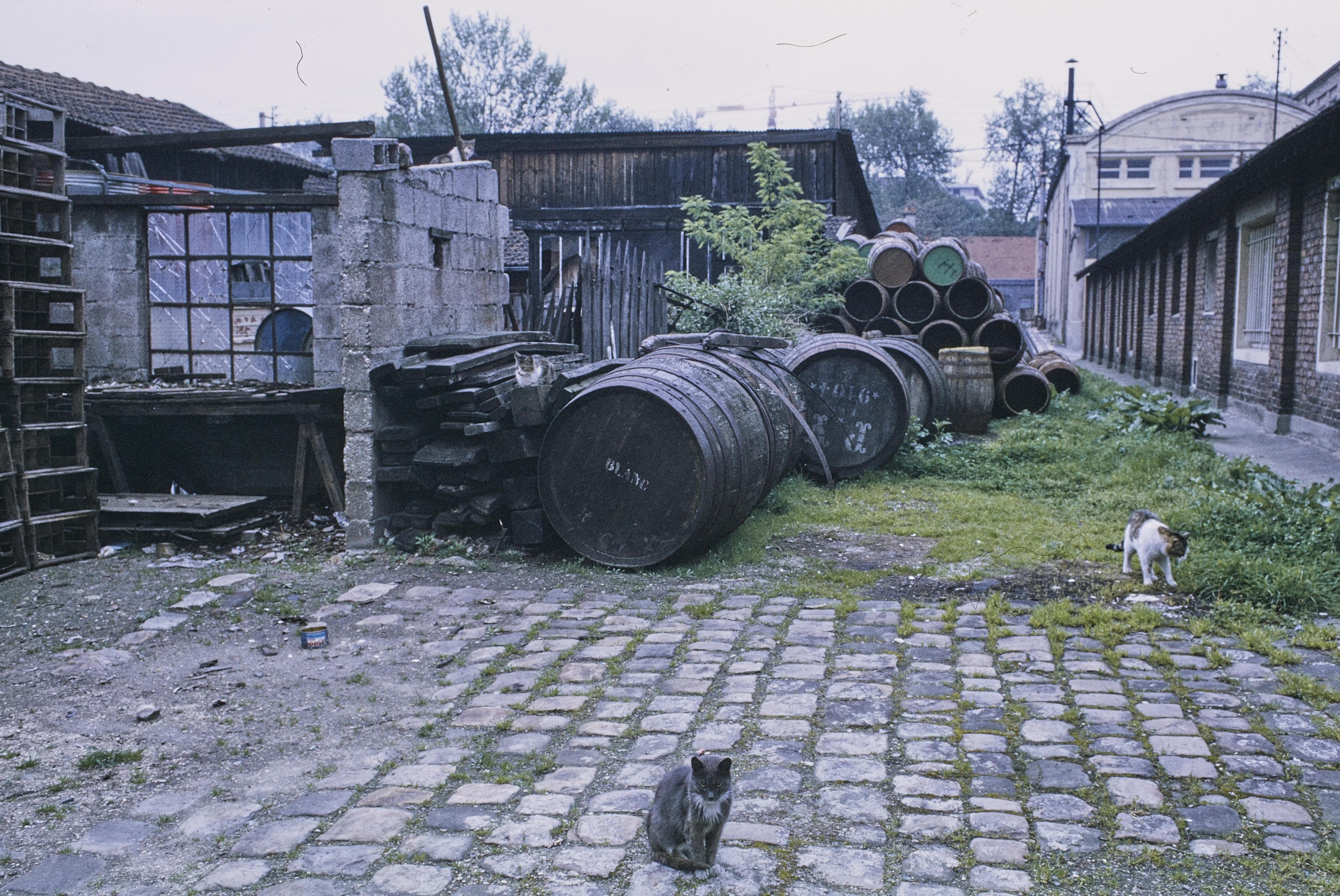 Photo d'archive