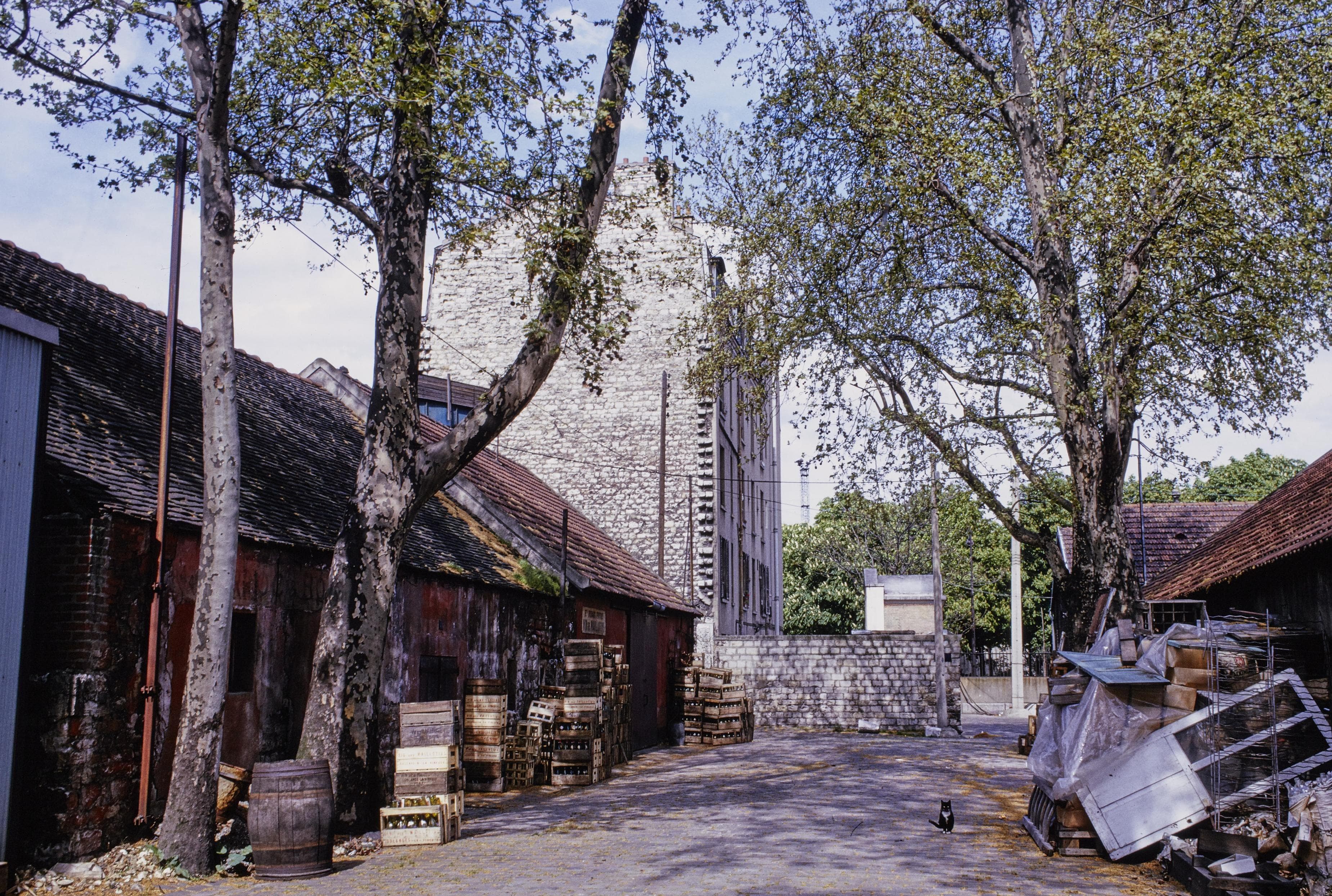 Photo d'archive