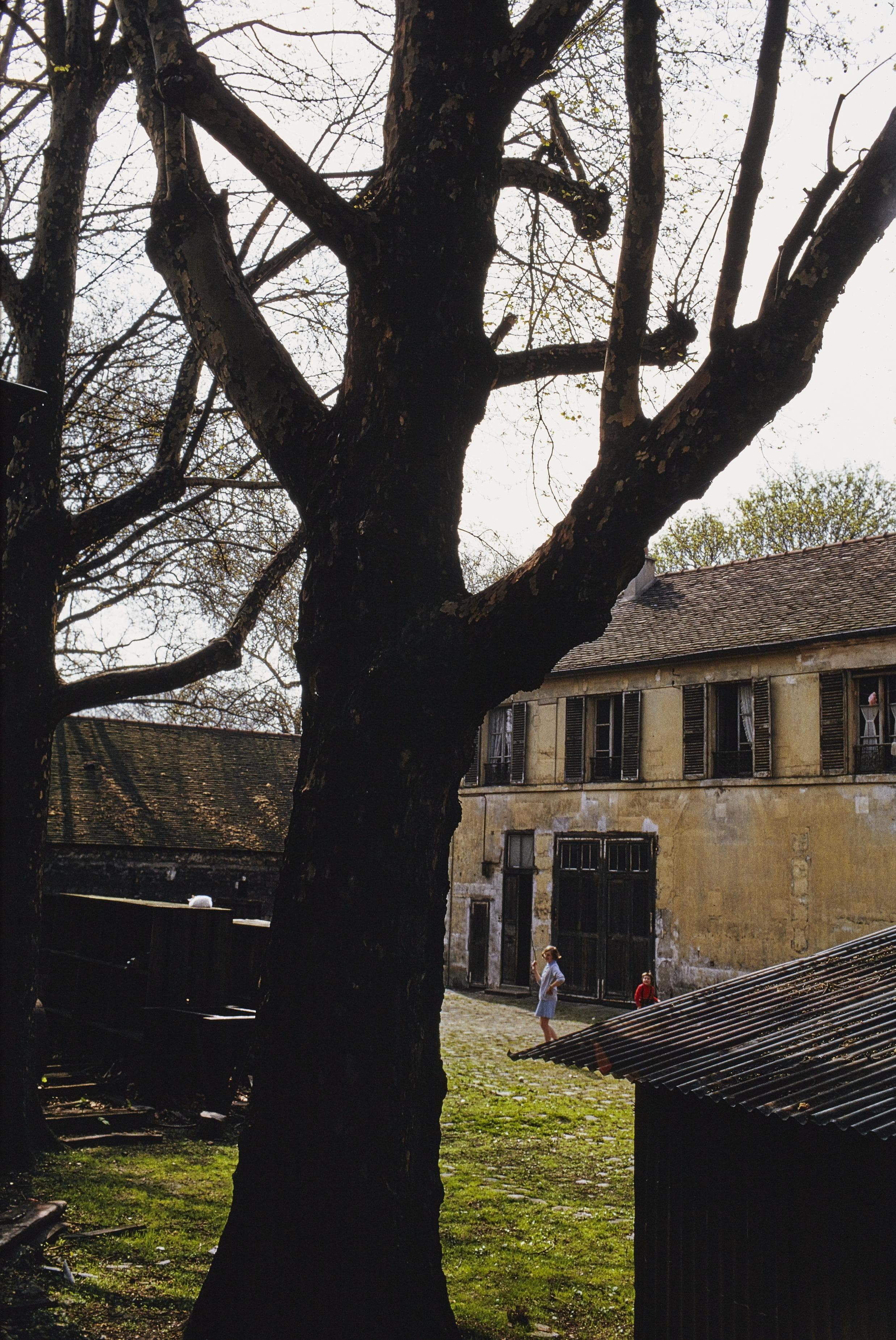 Photo d'archive