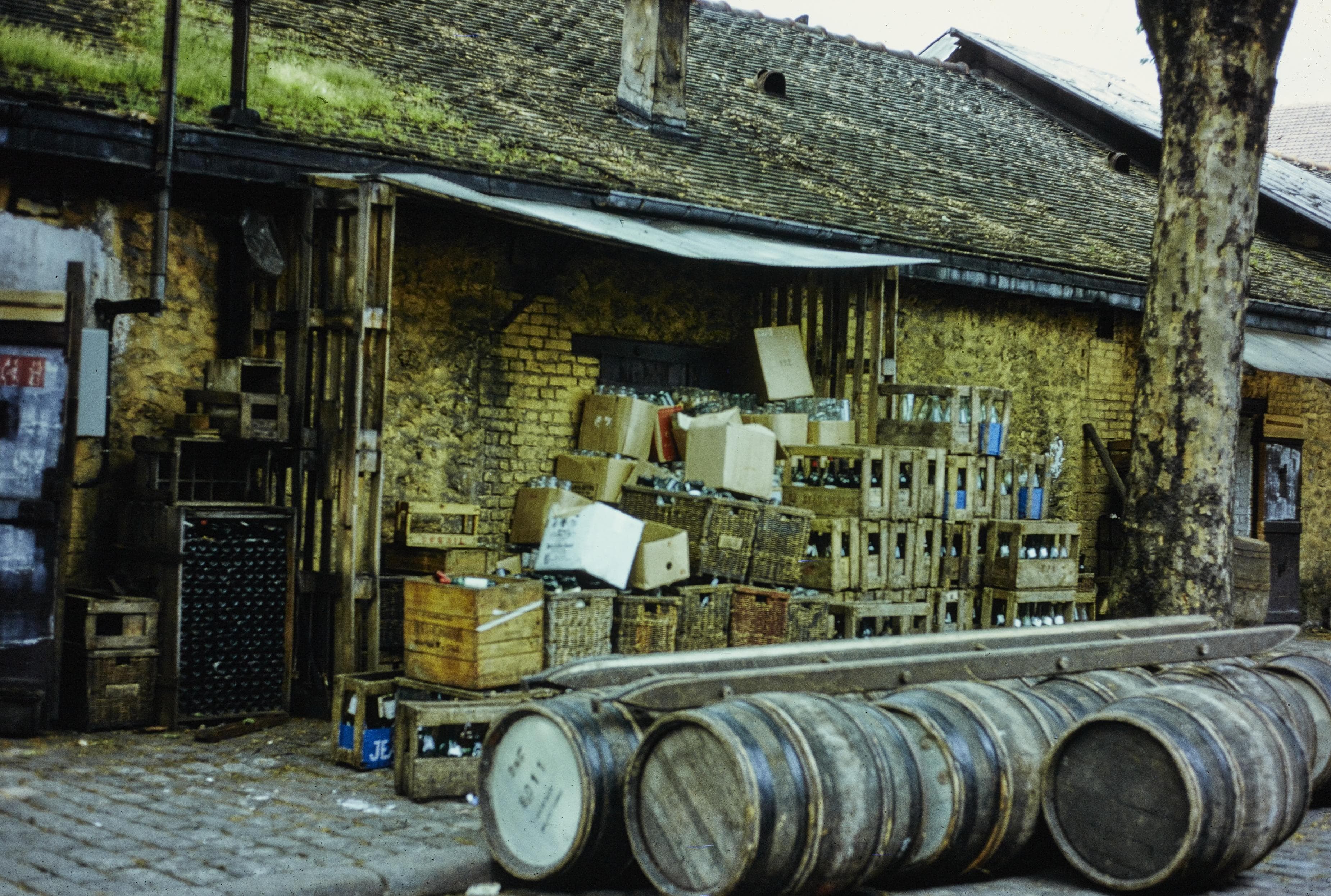 Photo d'archive
