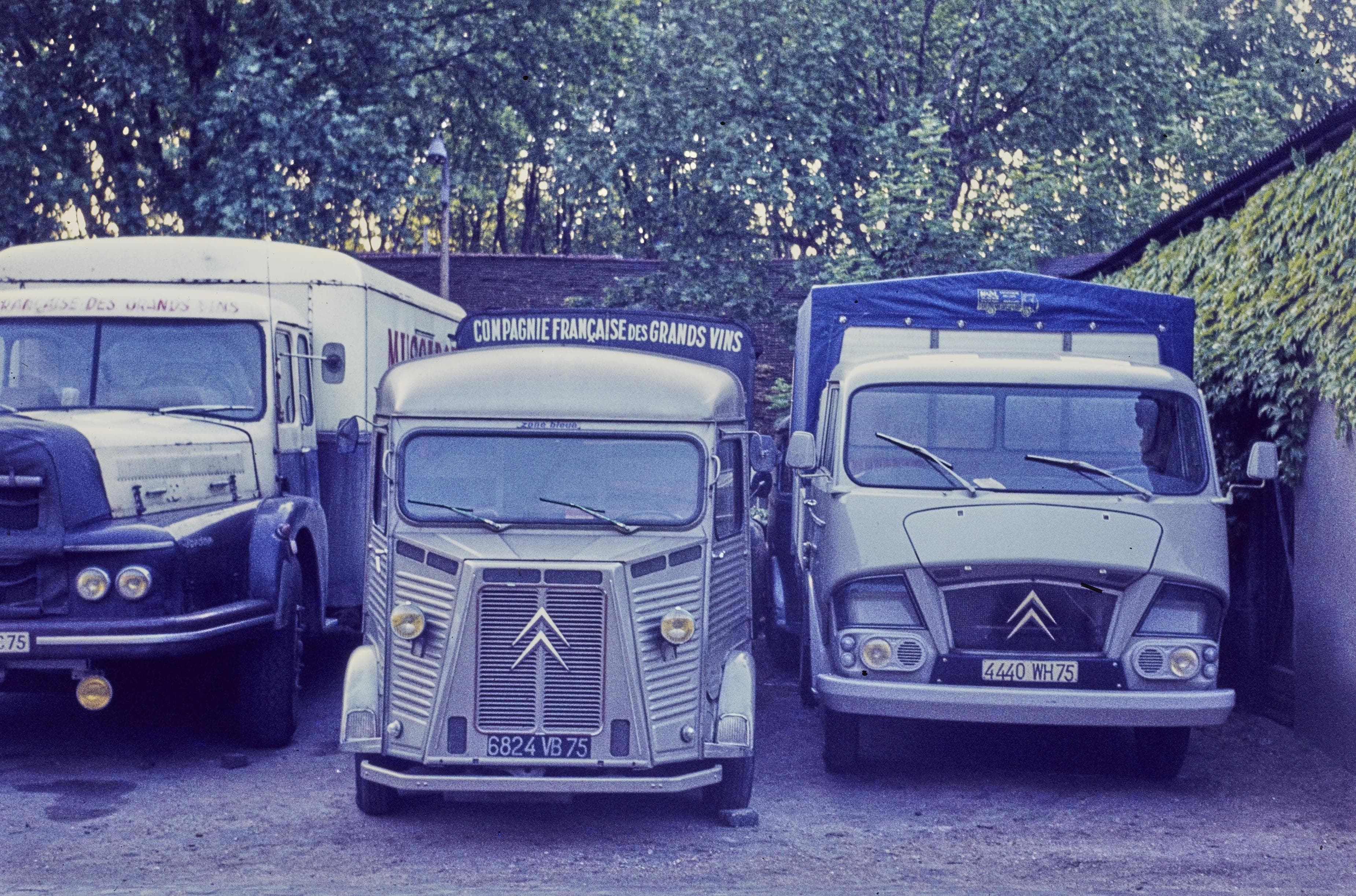 Photo d'archive