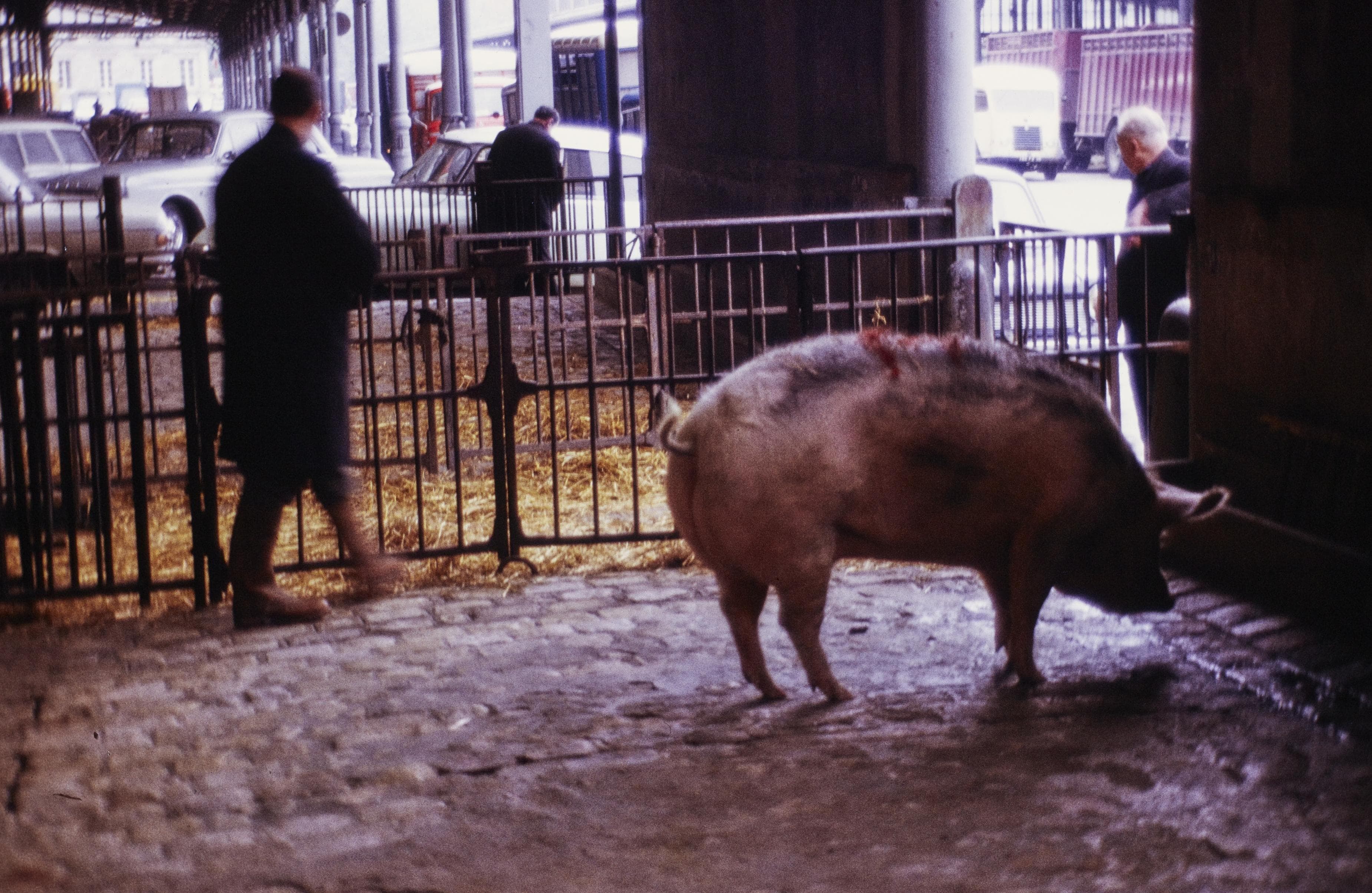 Photo d'archive