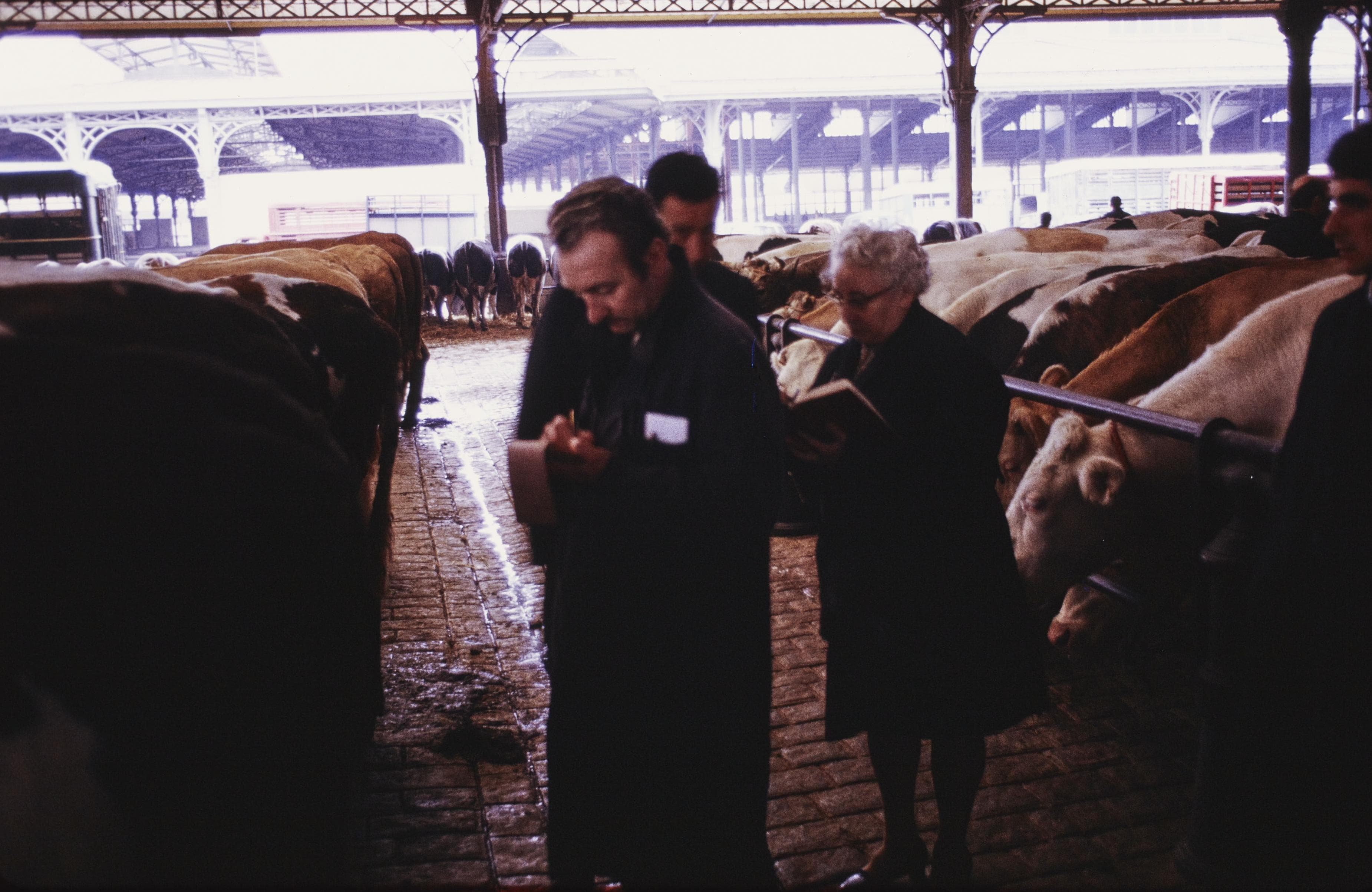 Photo d'archive