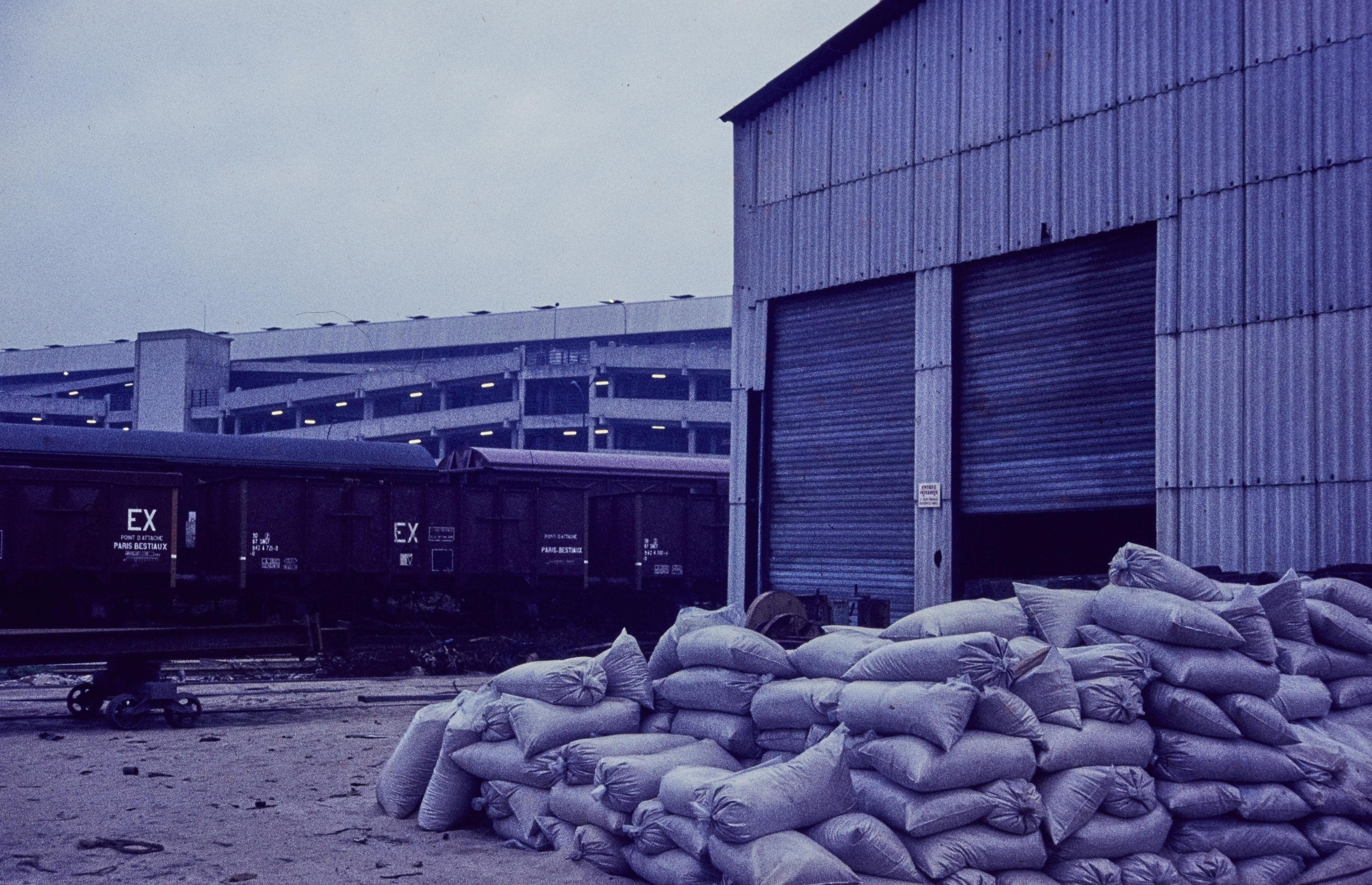 Photo d'archive