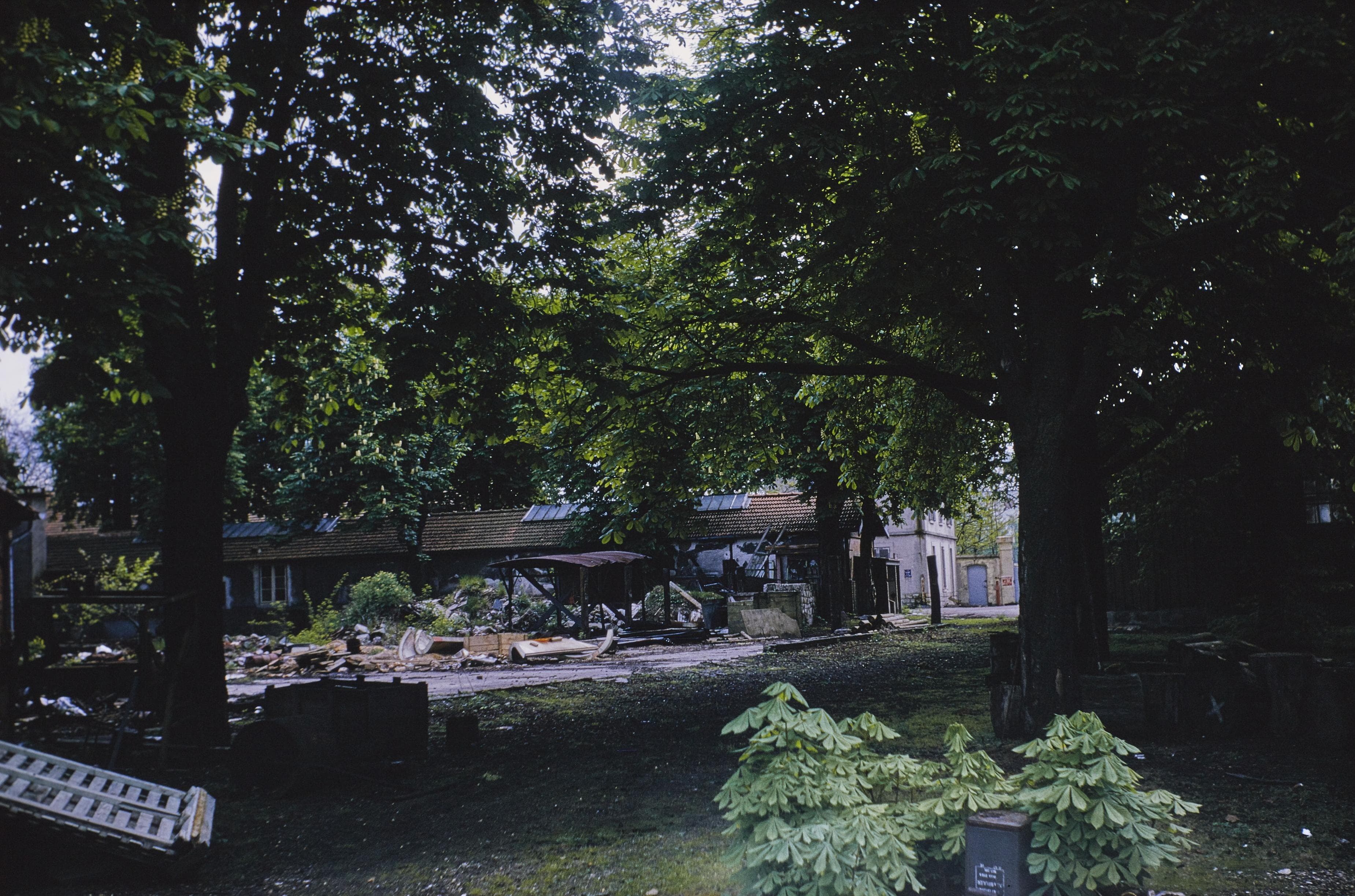 Photo d'archive