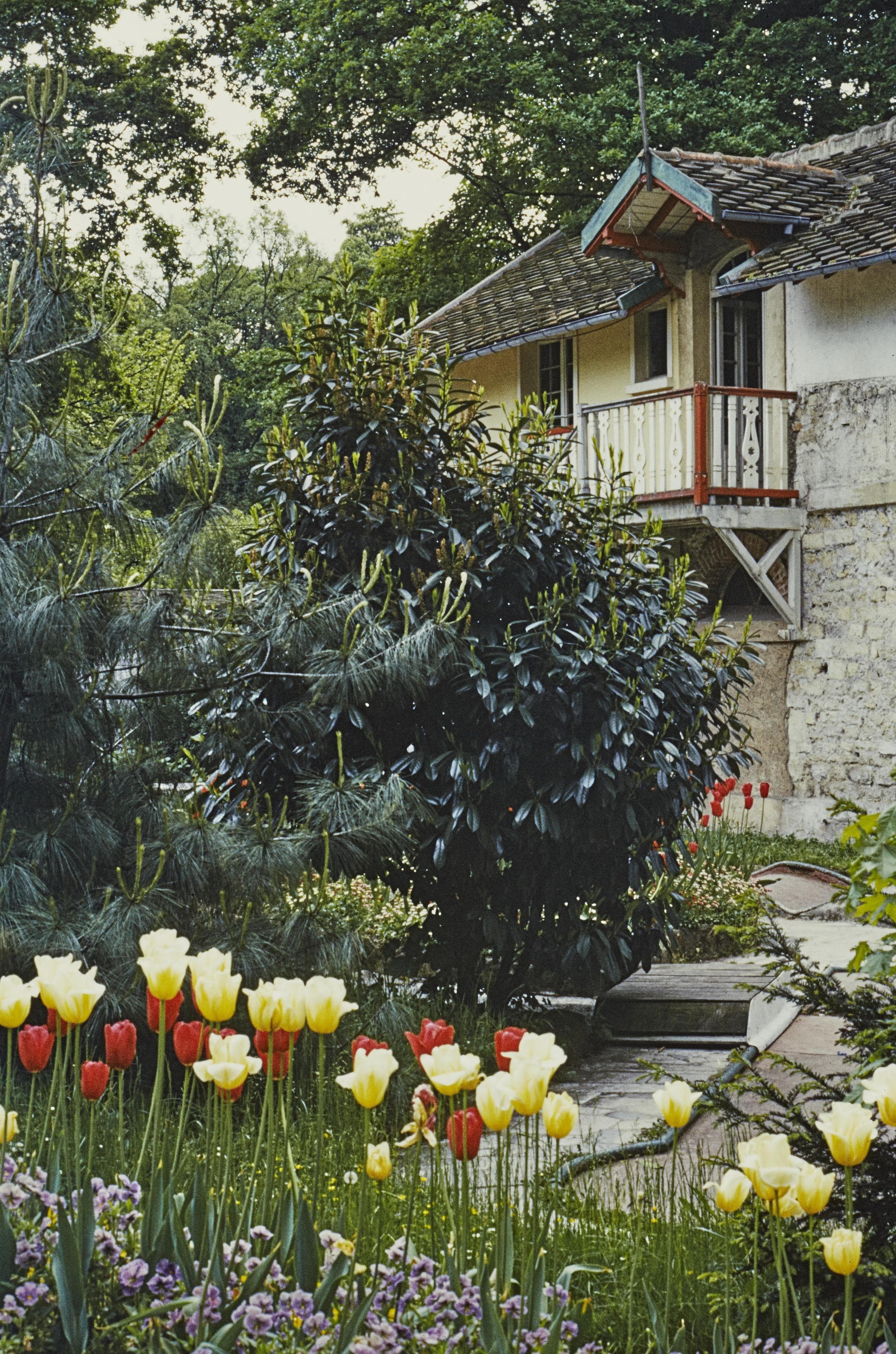 Photo d'archive