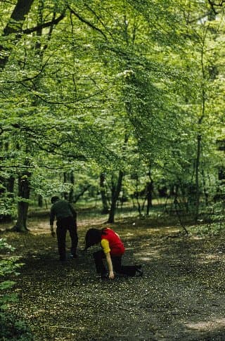 Photo d'archive