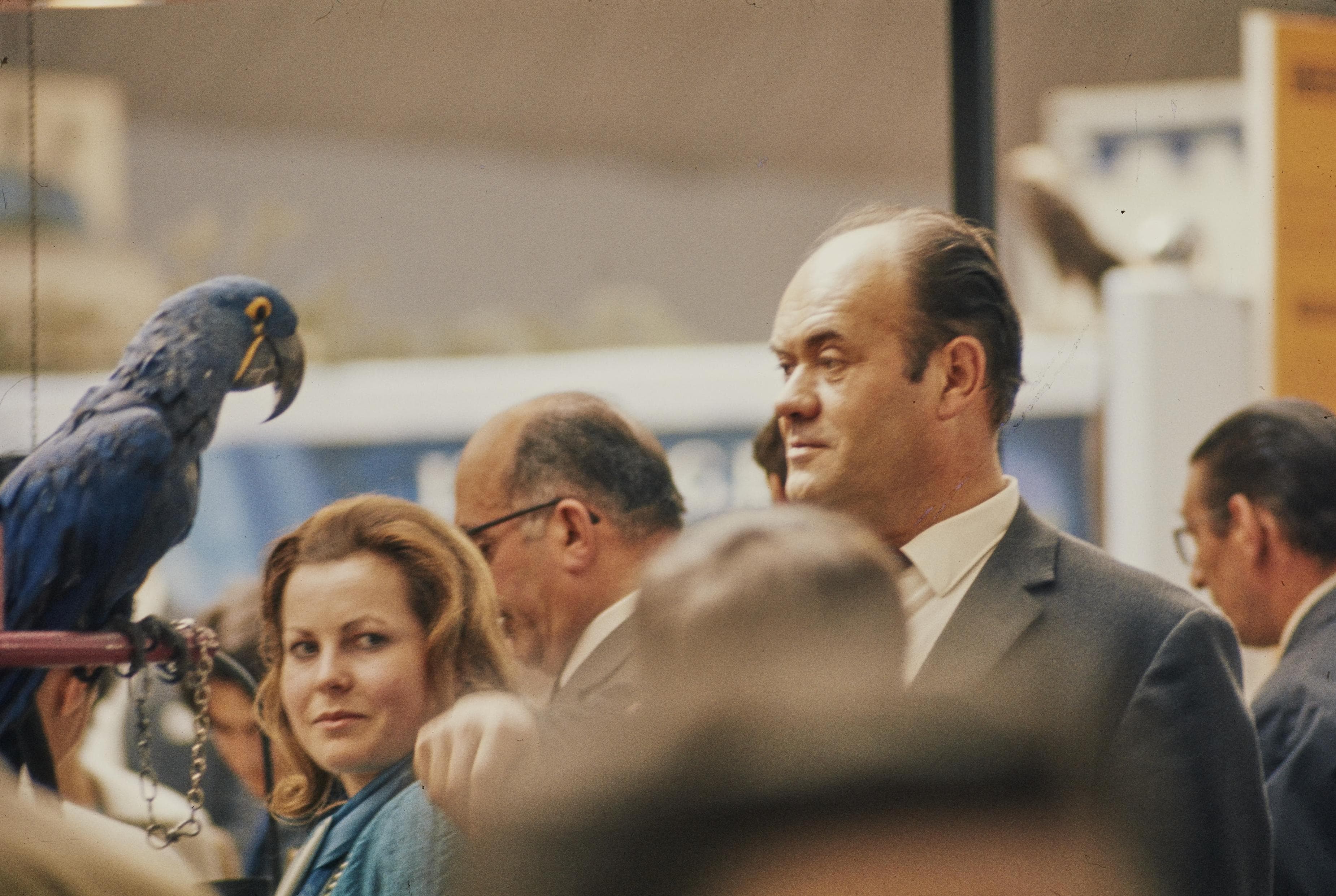 Photo d'archive