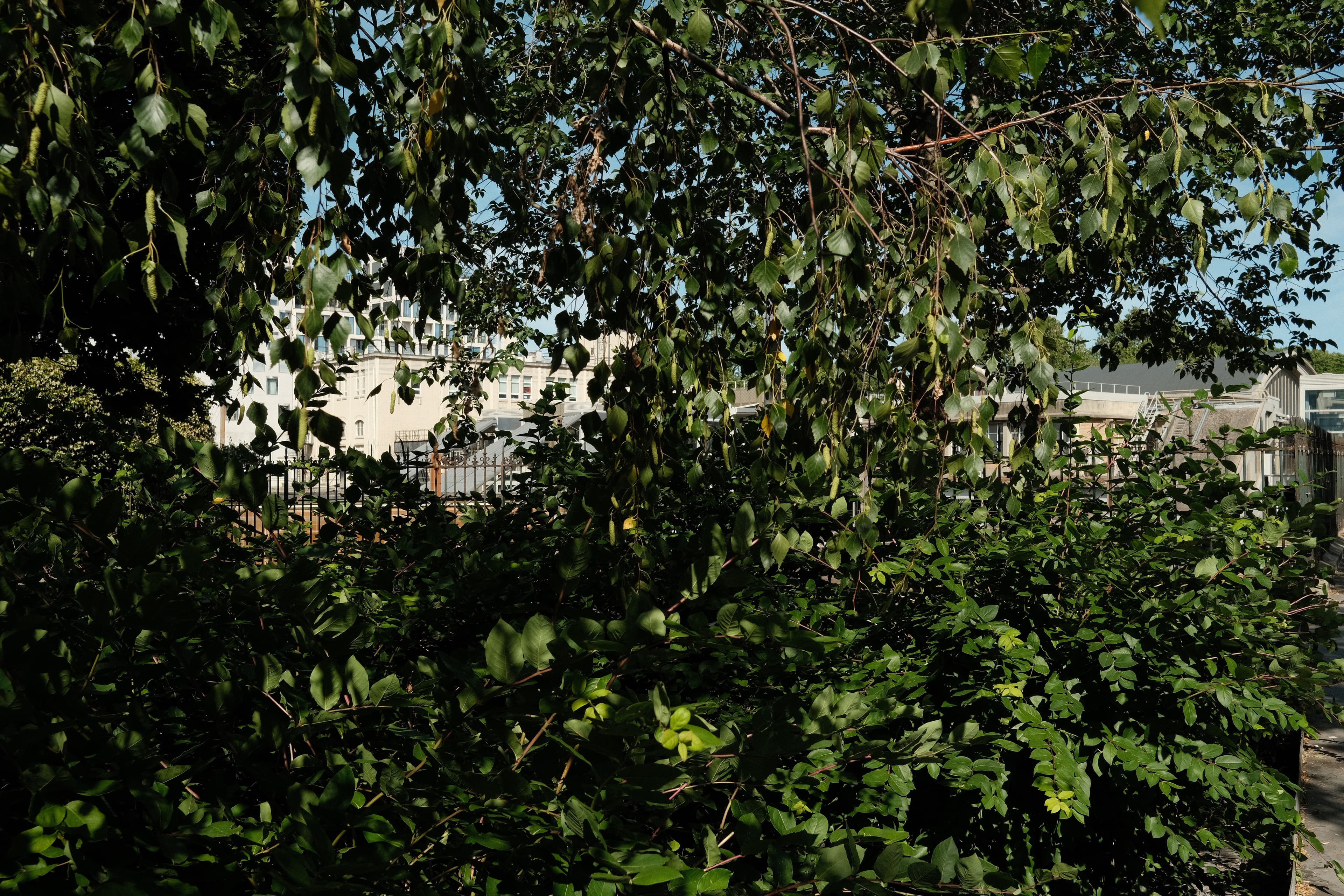 Photo récente : 17e arrondissement