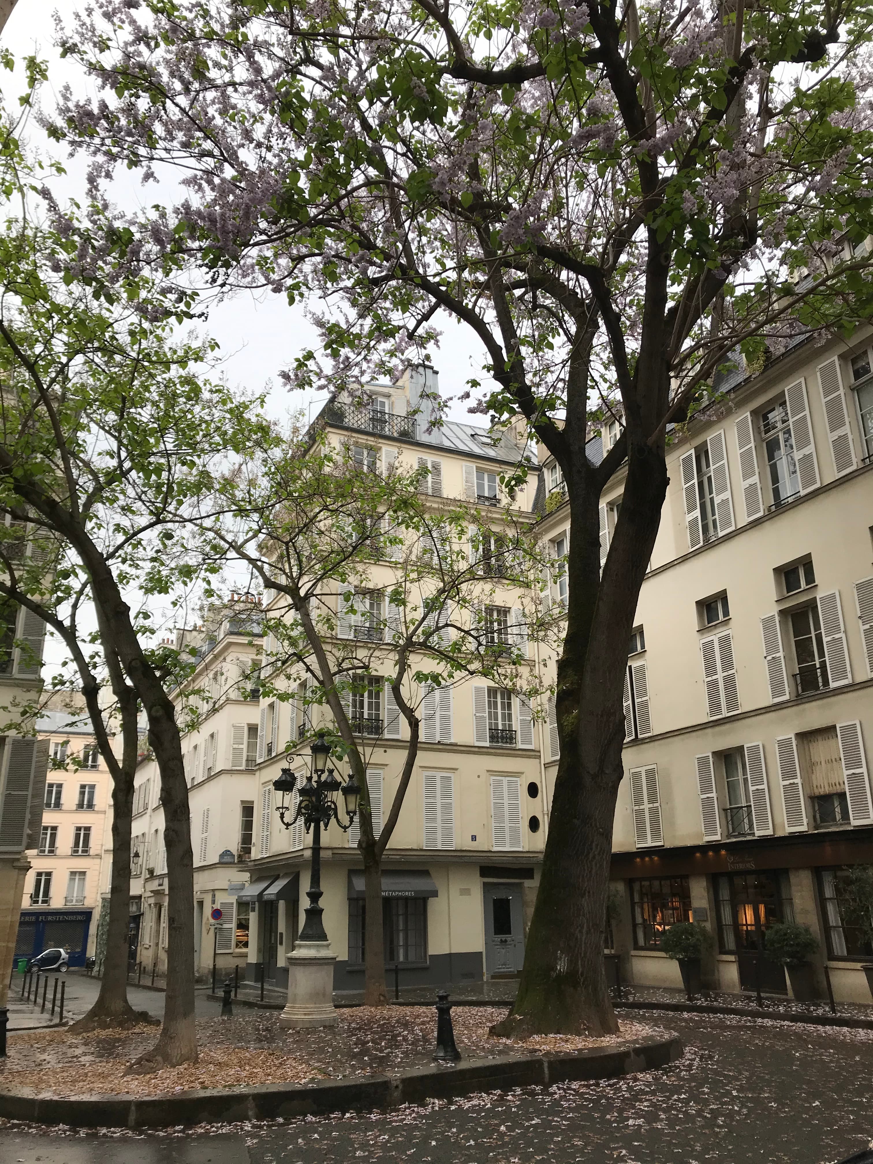 Photo récente : 6e arrondissement