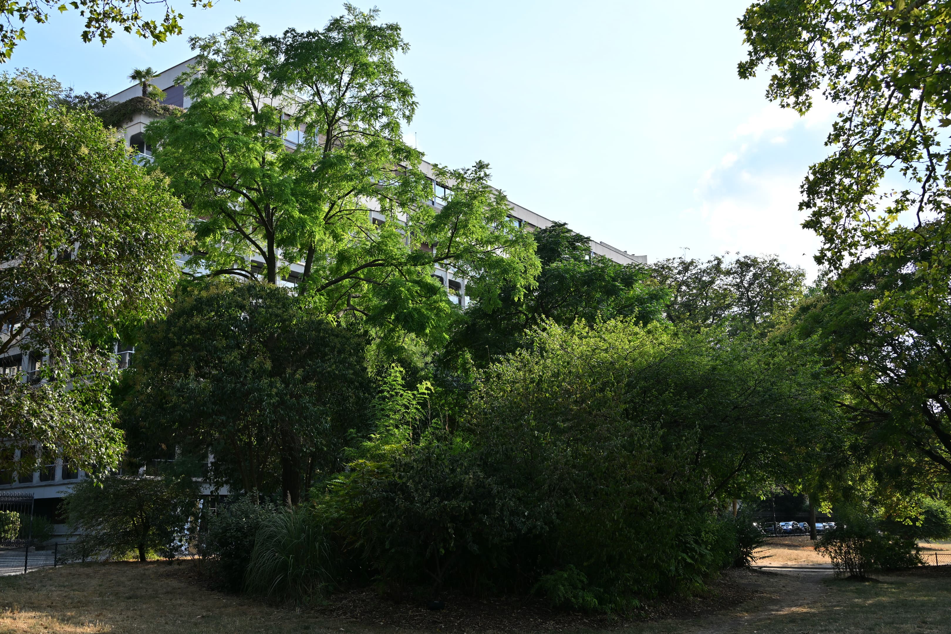 Photo récente : 16e arrondissement