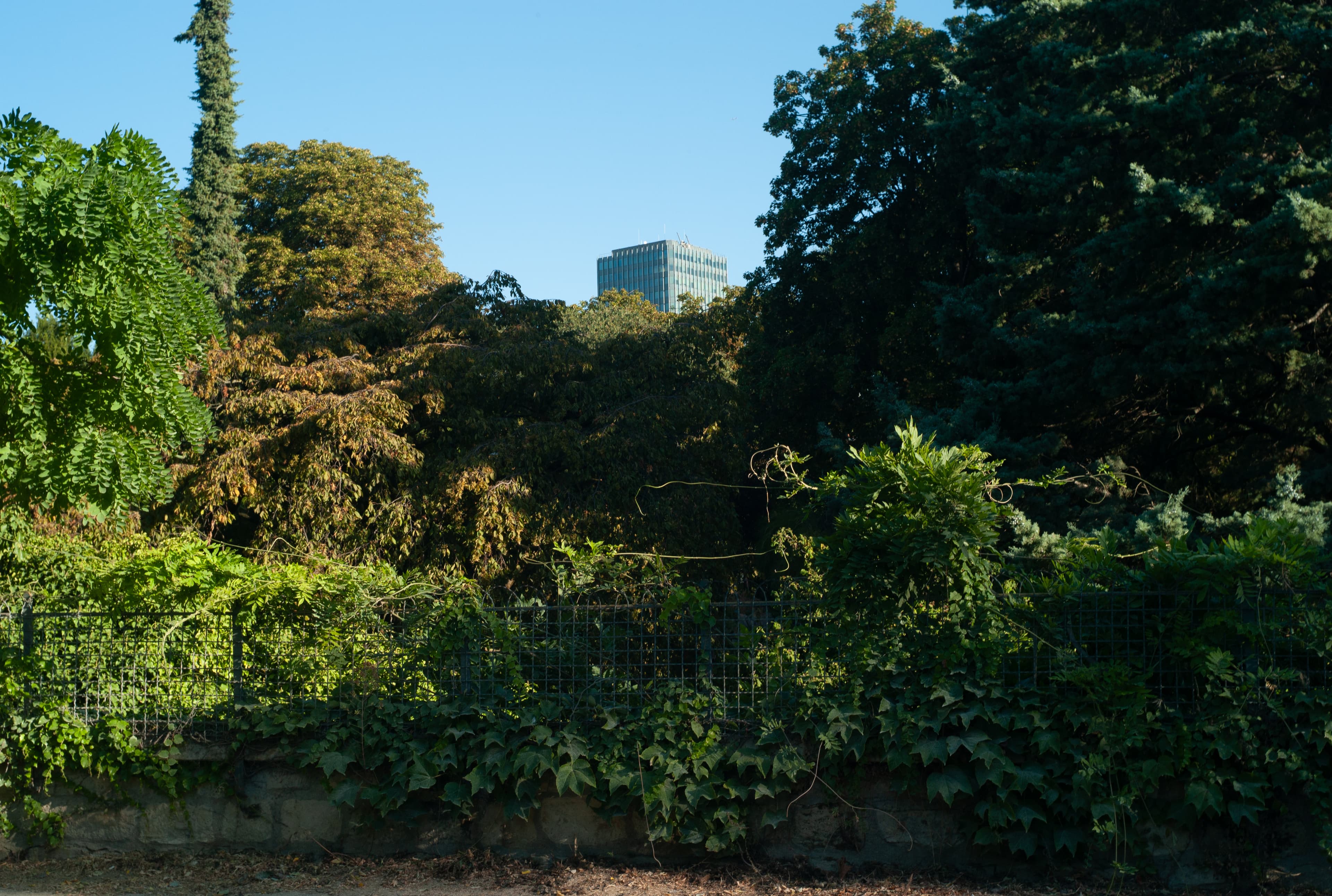 Photo récente : 5e arrondissement