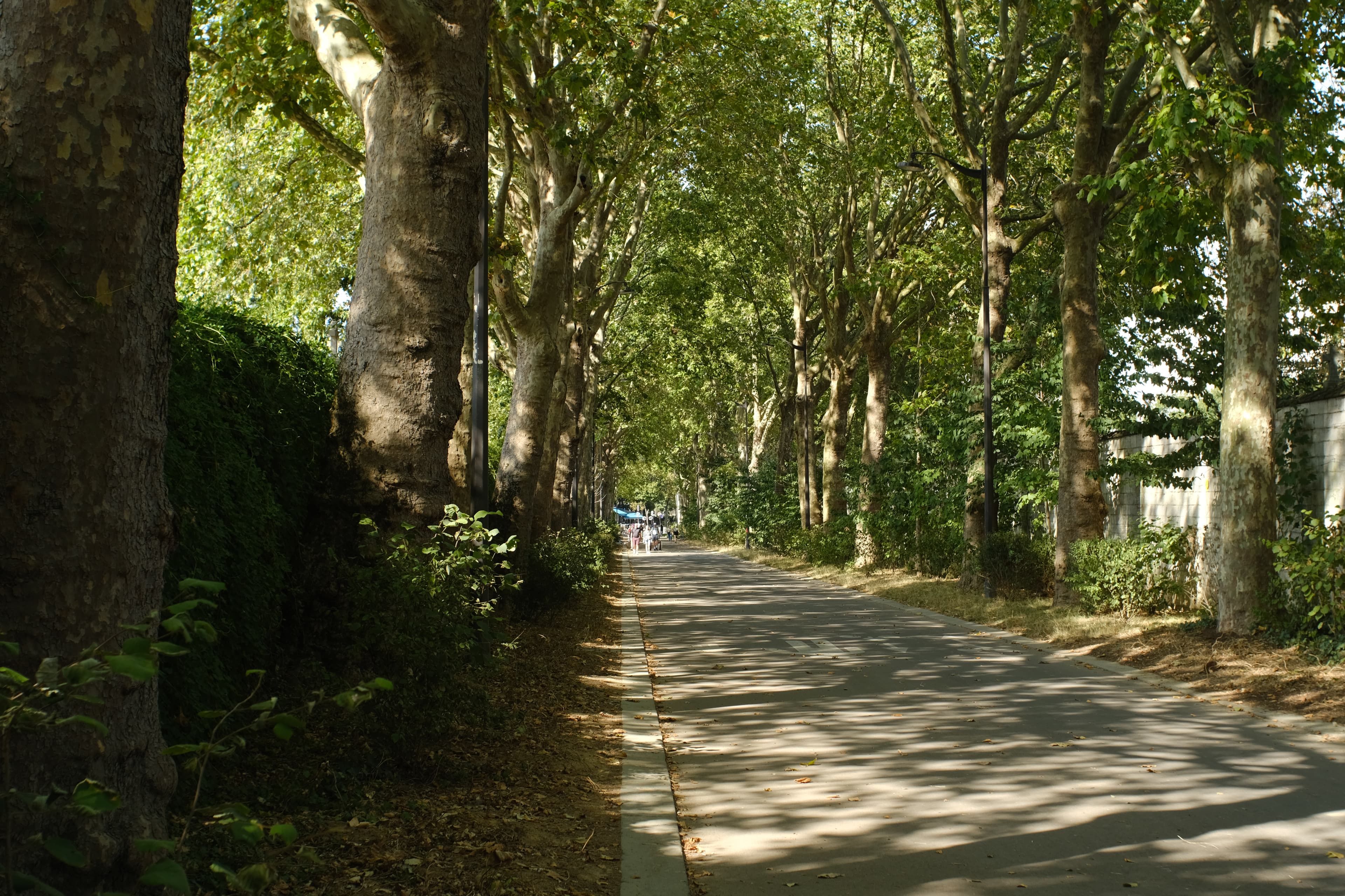 Photo récente : 14e arrondissement