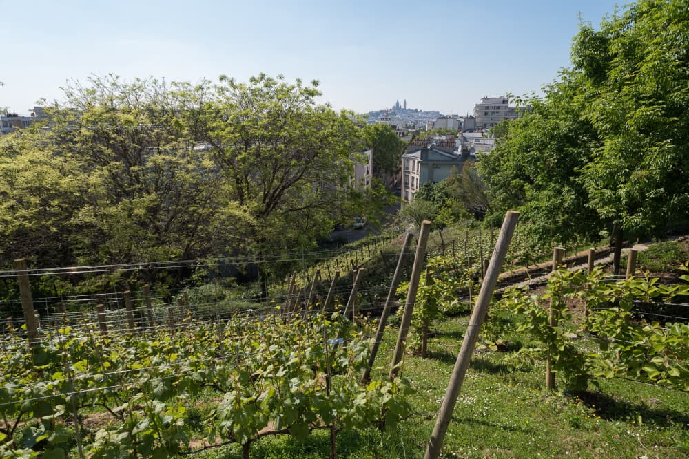 Photo d’archive : 19e arrondissement