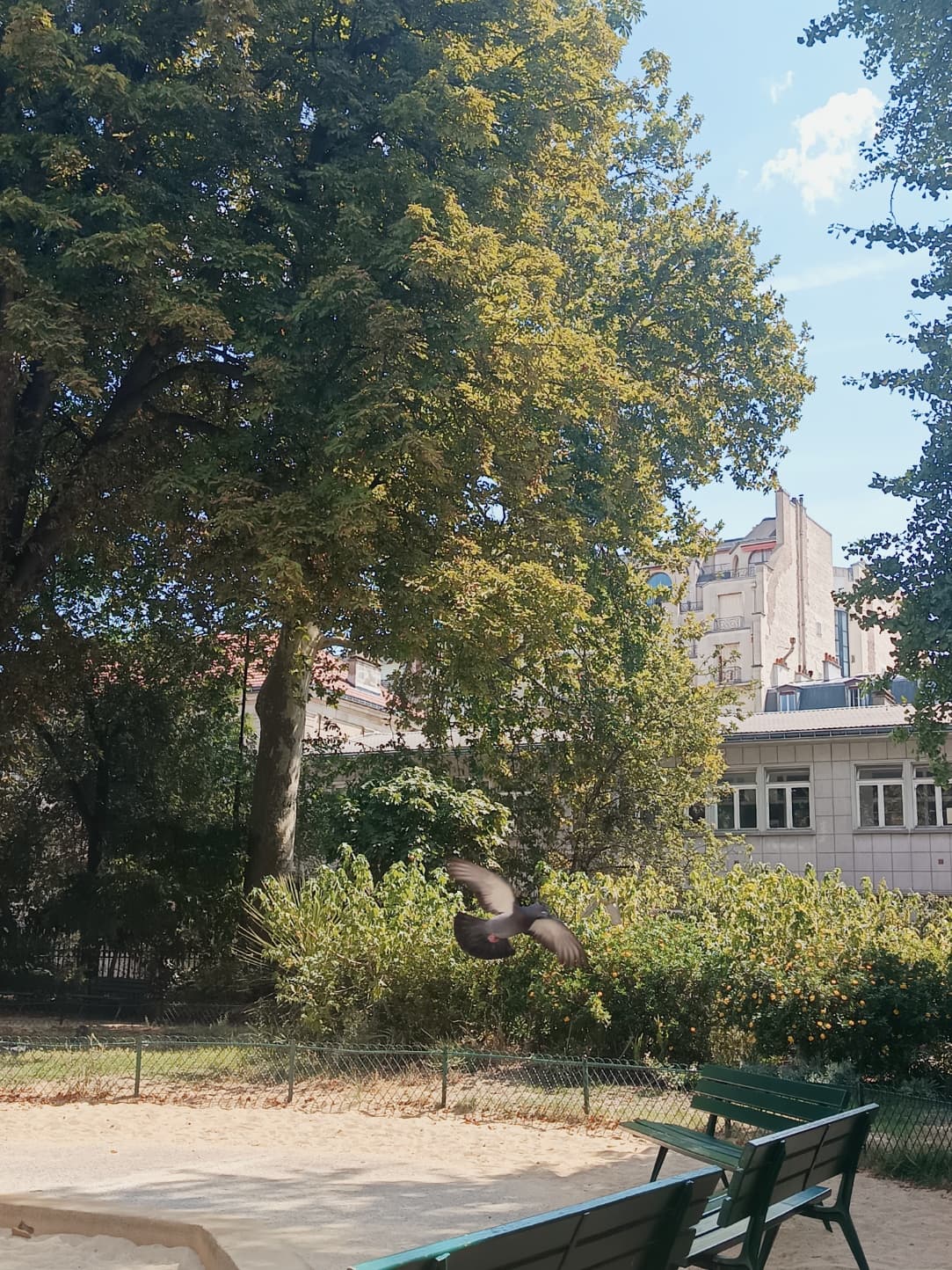 Photo récente : 14e arrondissement