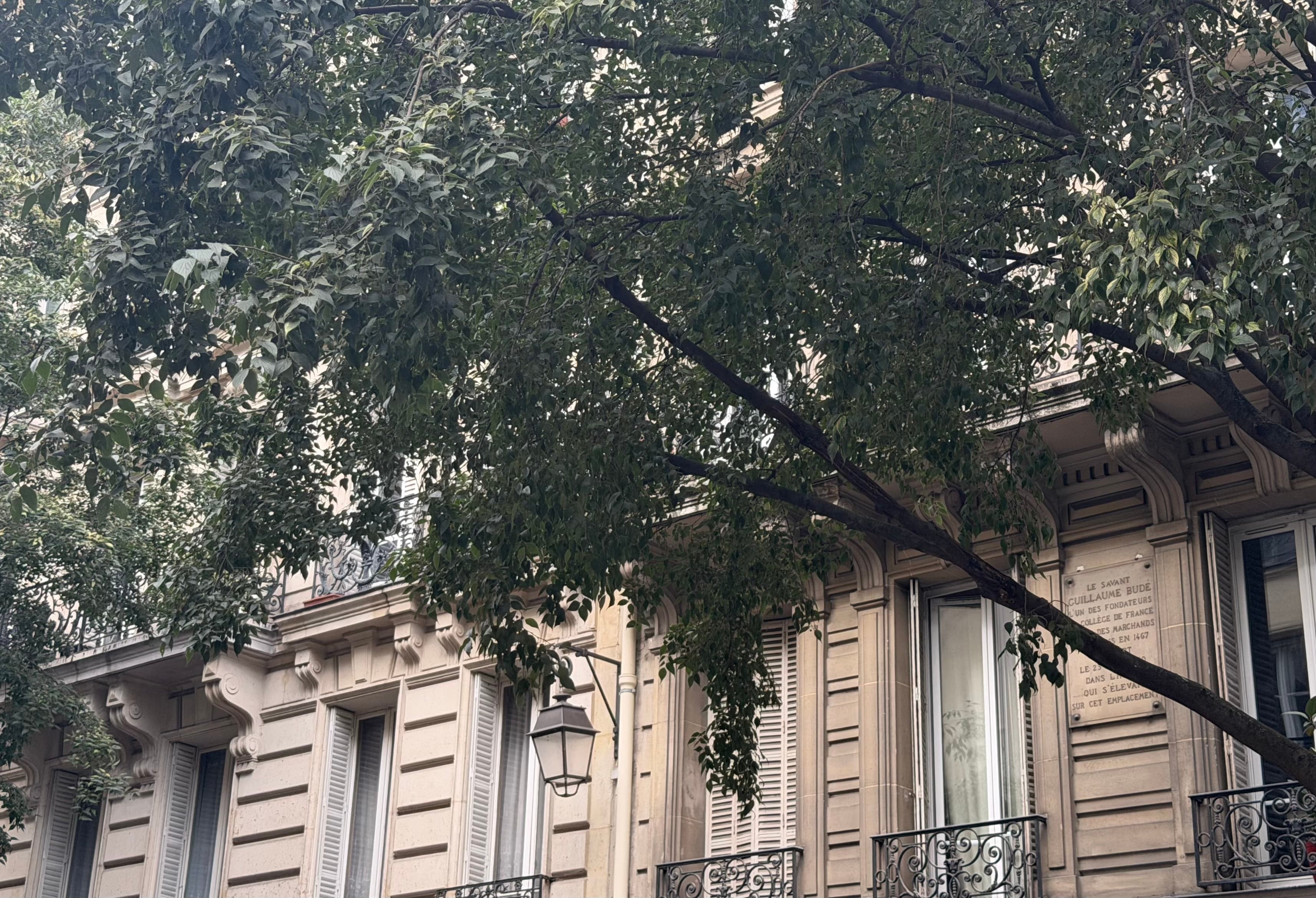 Photo récente : 3e arrondissement