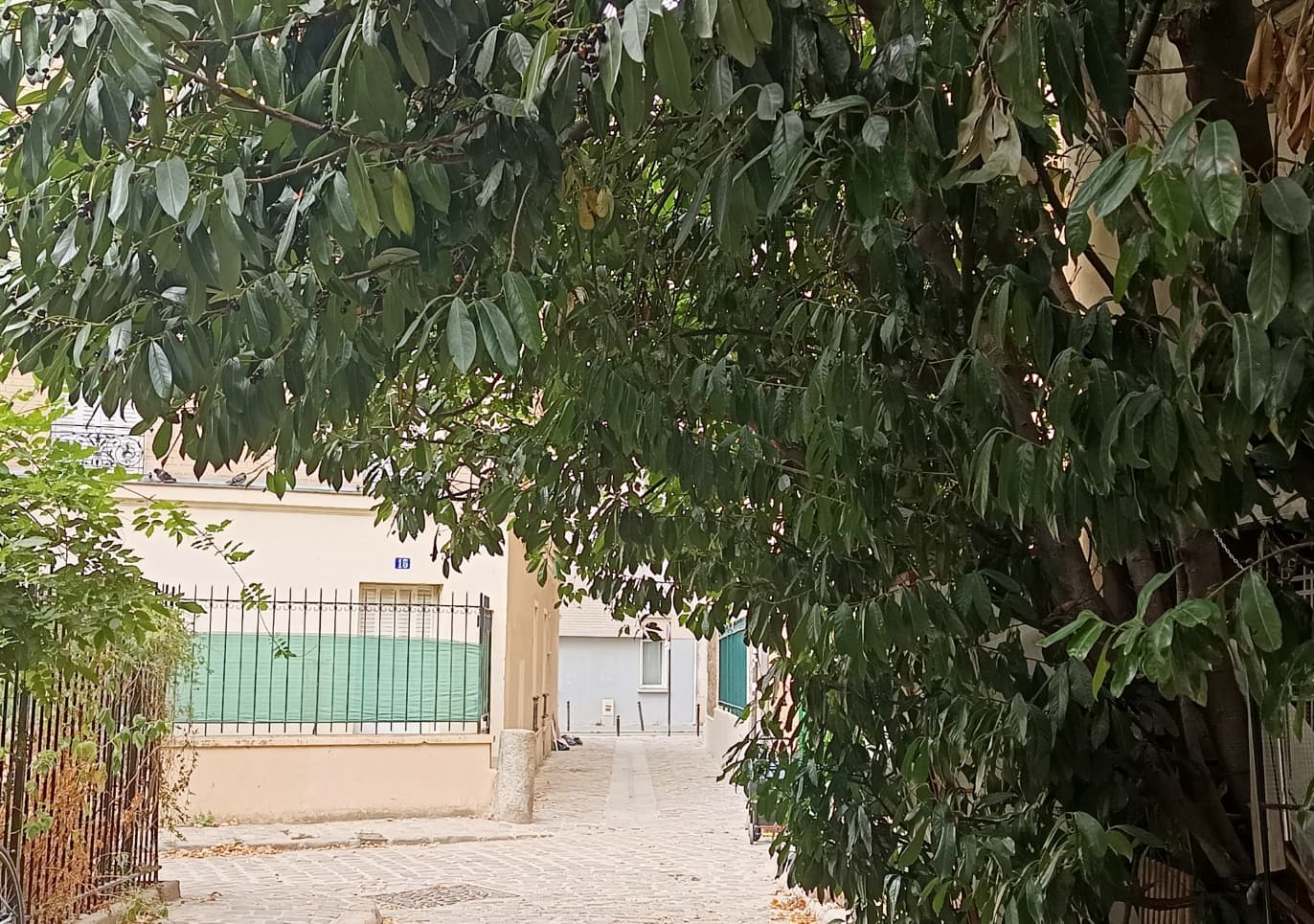 Photo récente : 14e arrondissement