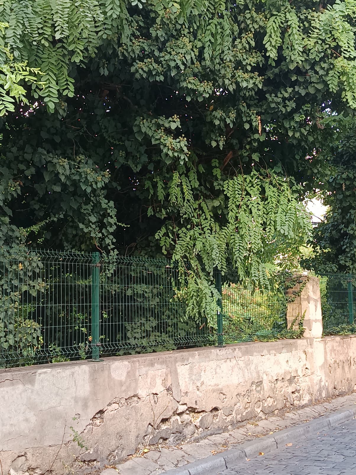 Photo récente : 14e arrondissement