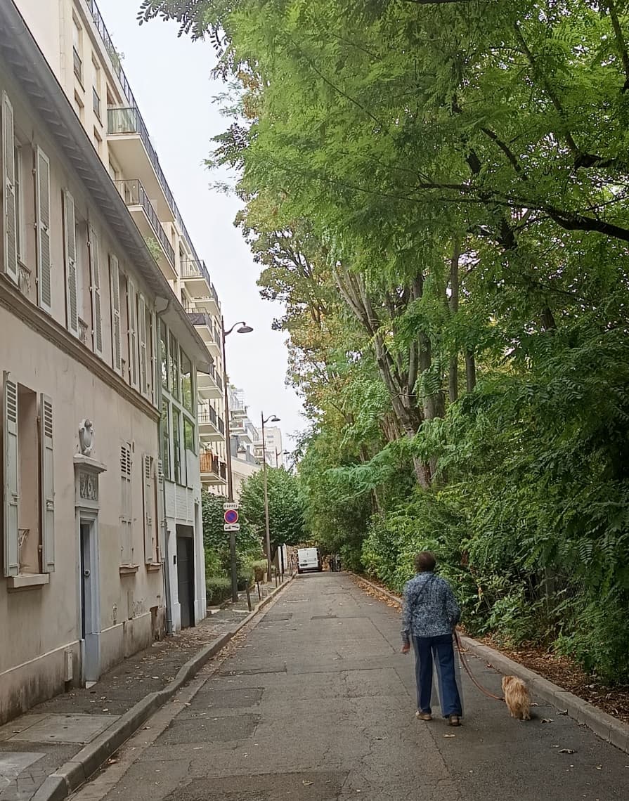 Photo récente : 14e arrondissement