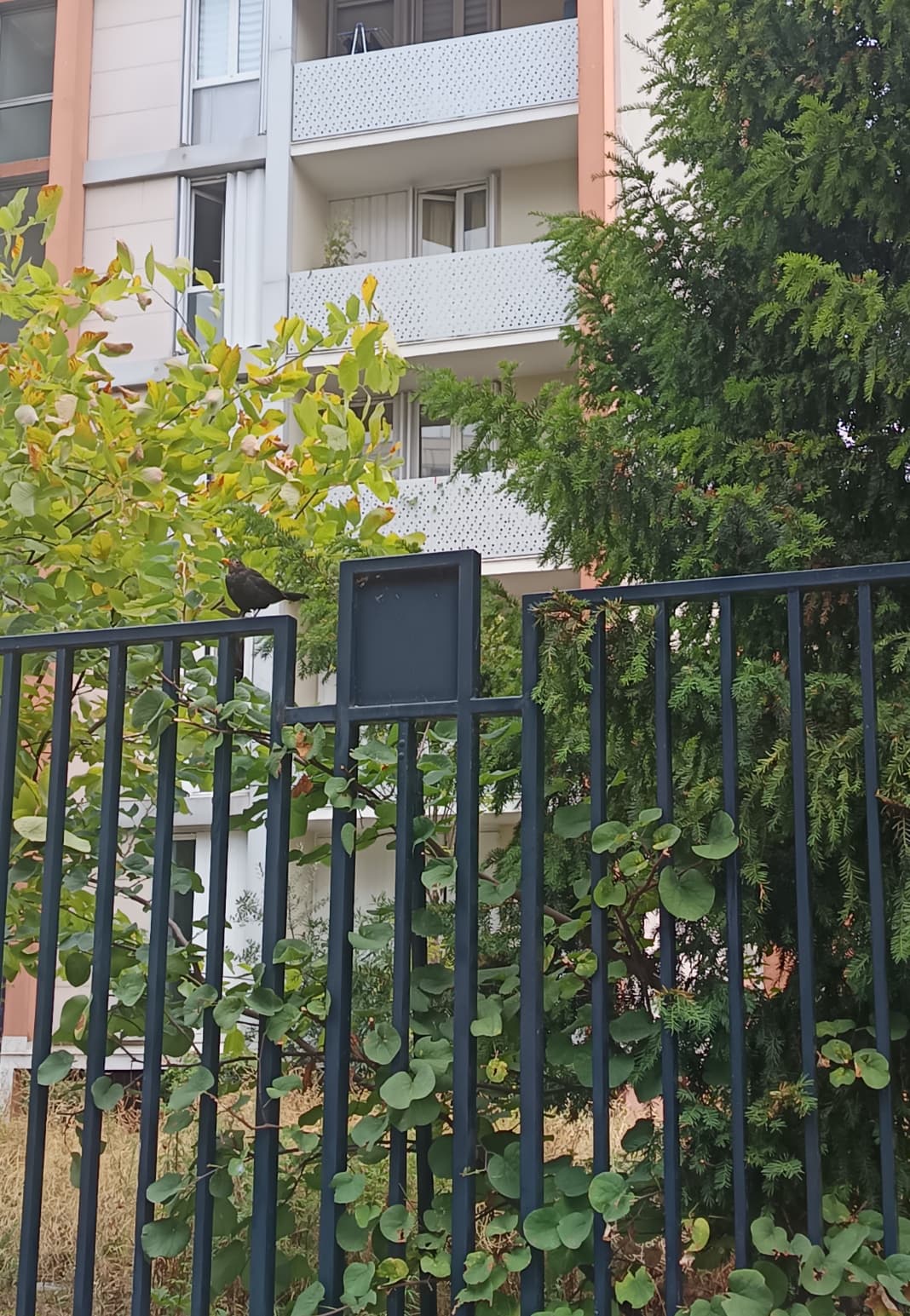 Photo récente : 14e arrondissement