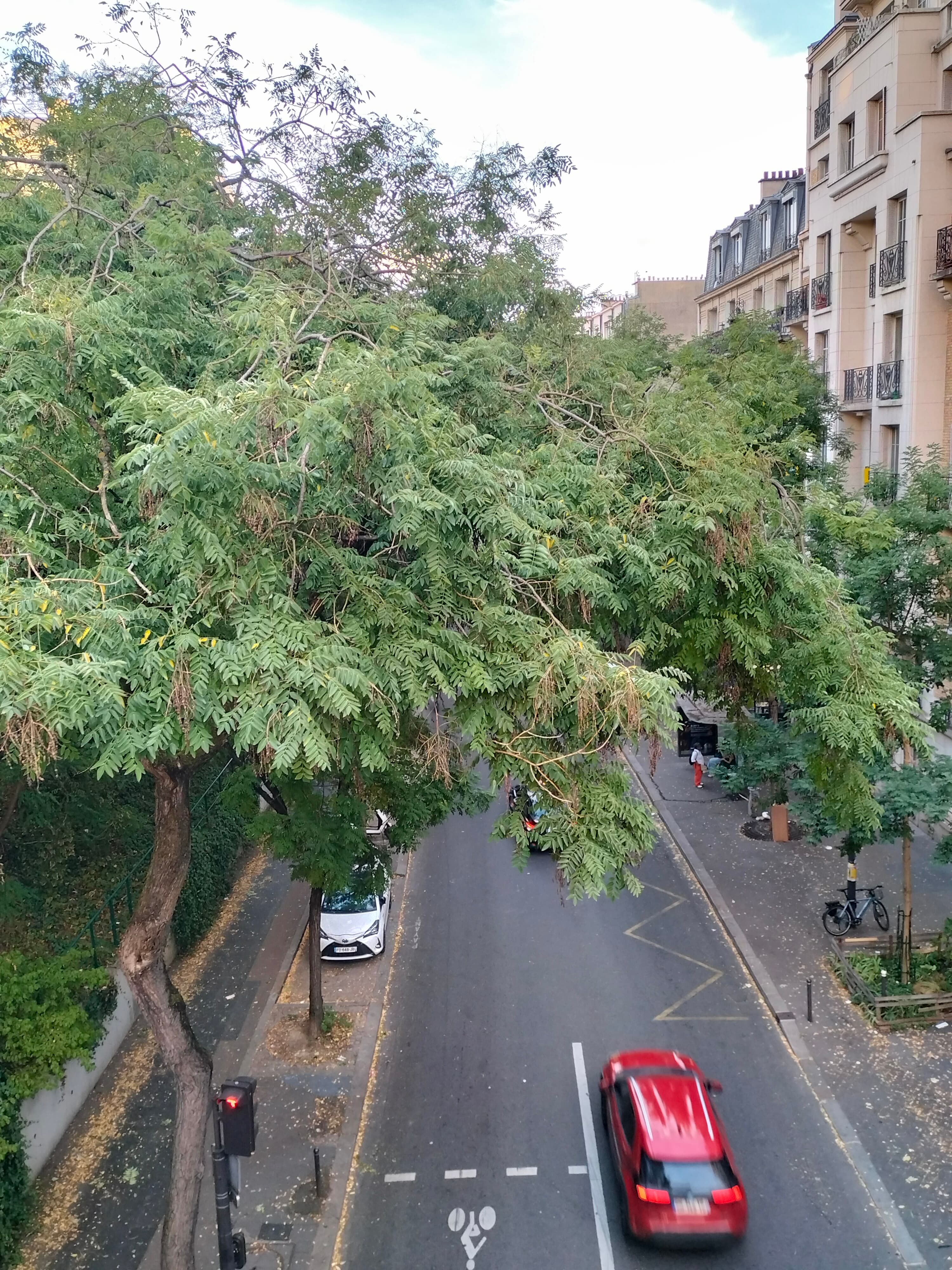 Photo récente : 20e arrondissement