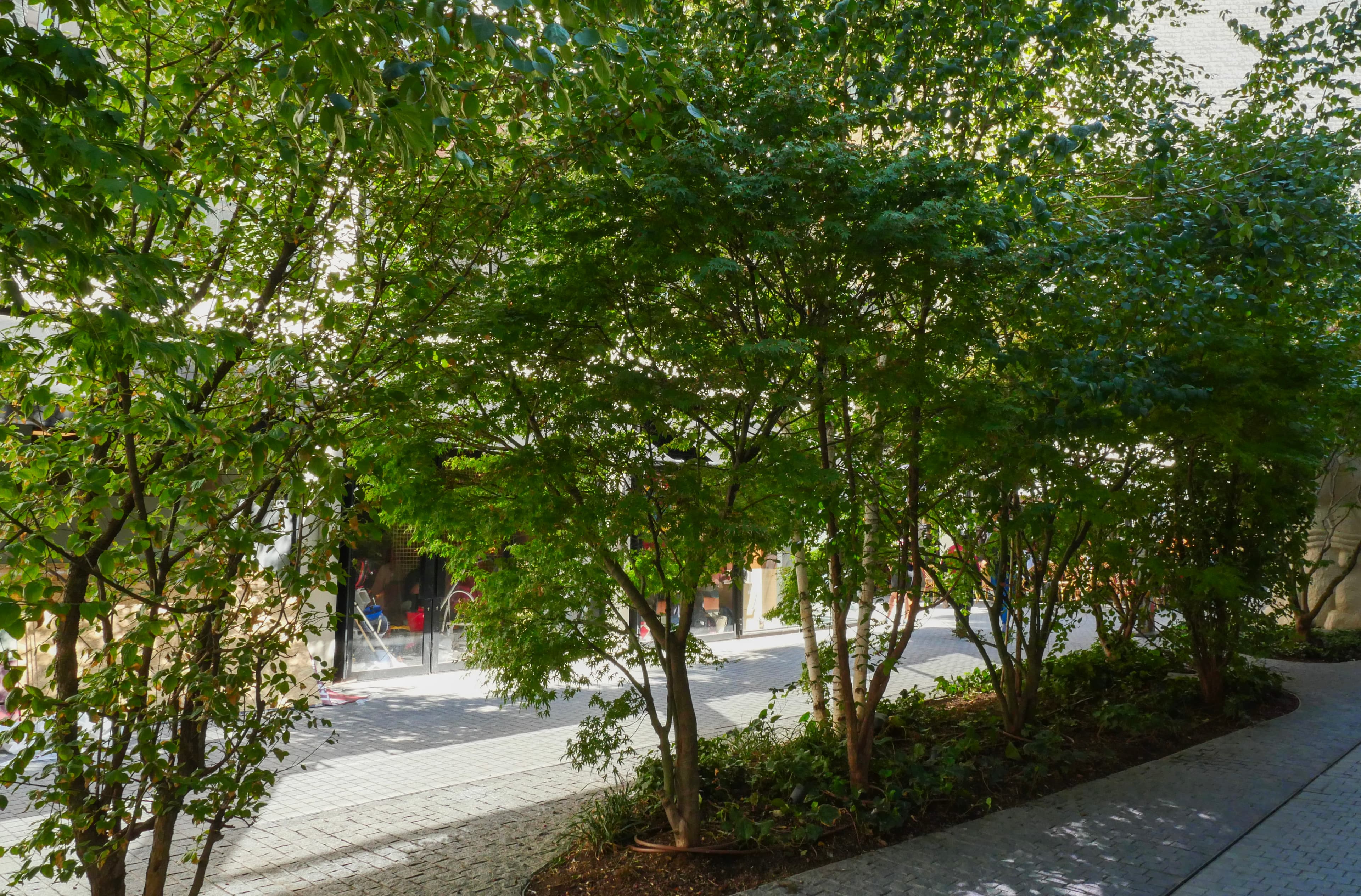 Photo récente : 7e arrondissement