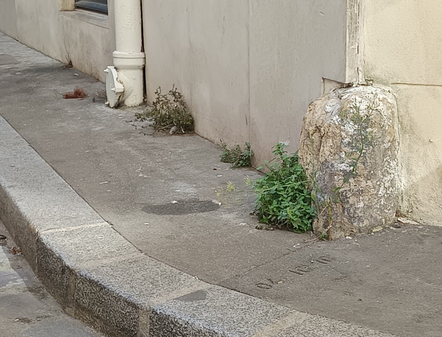 Photo récente : 14e arrondissement