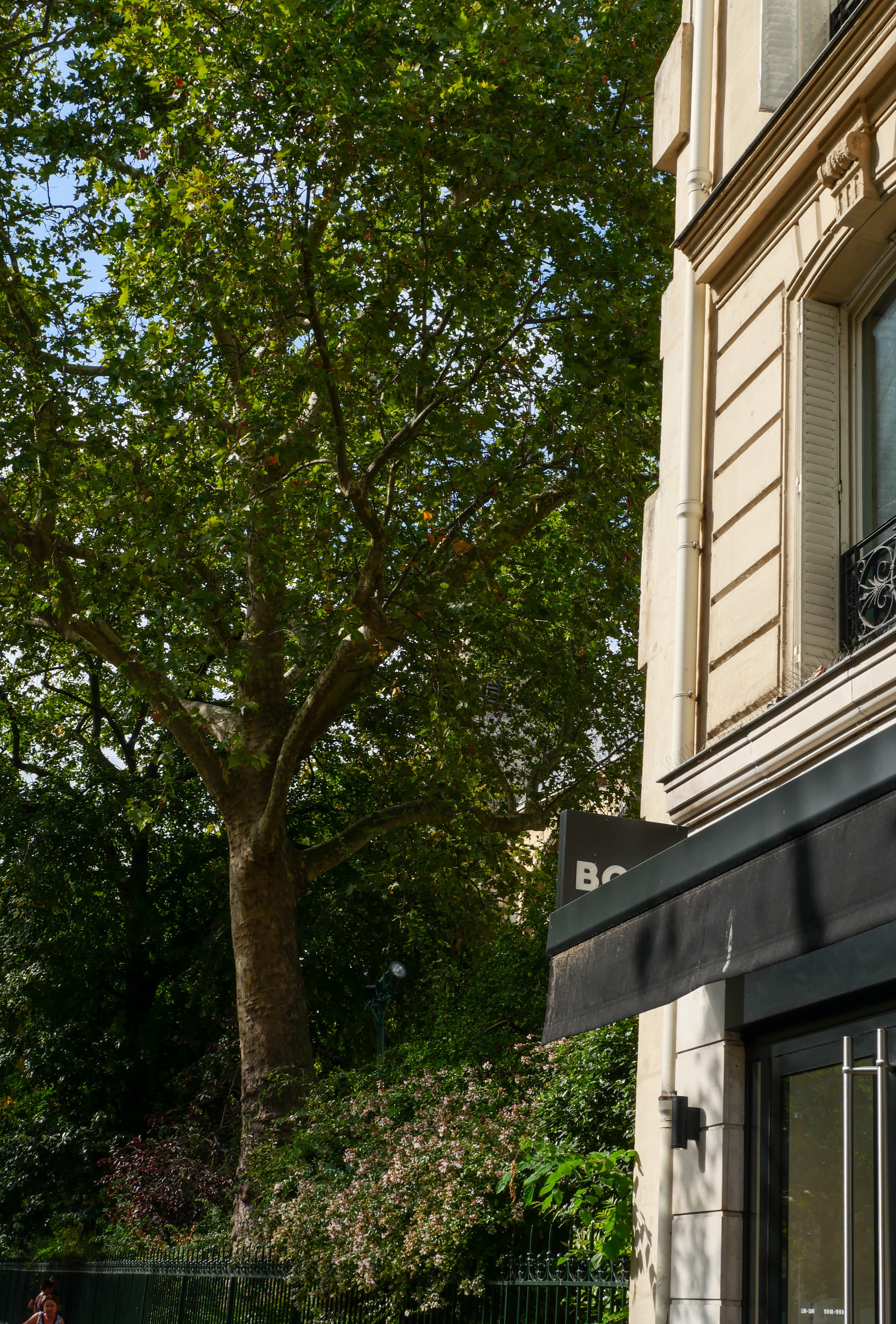 Photo récente : 6e arrondissement