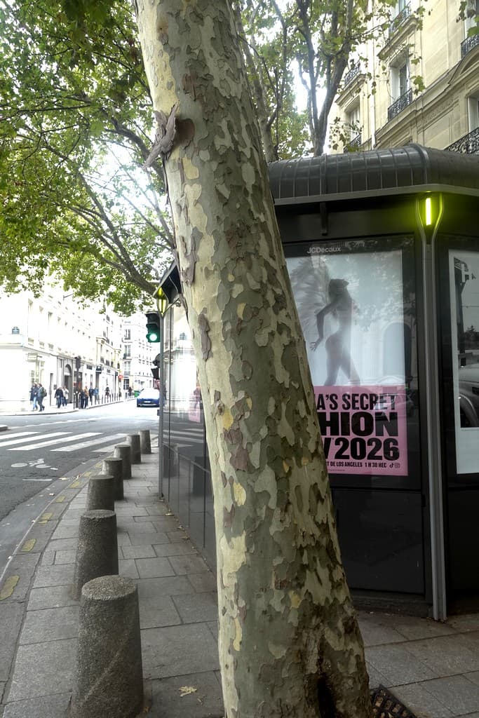 Photo récente : 6e arrondissement