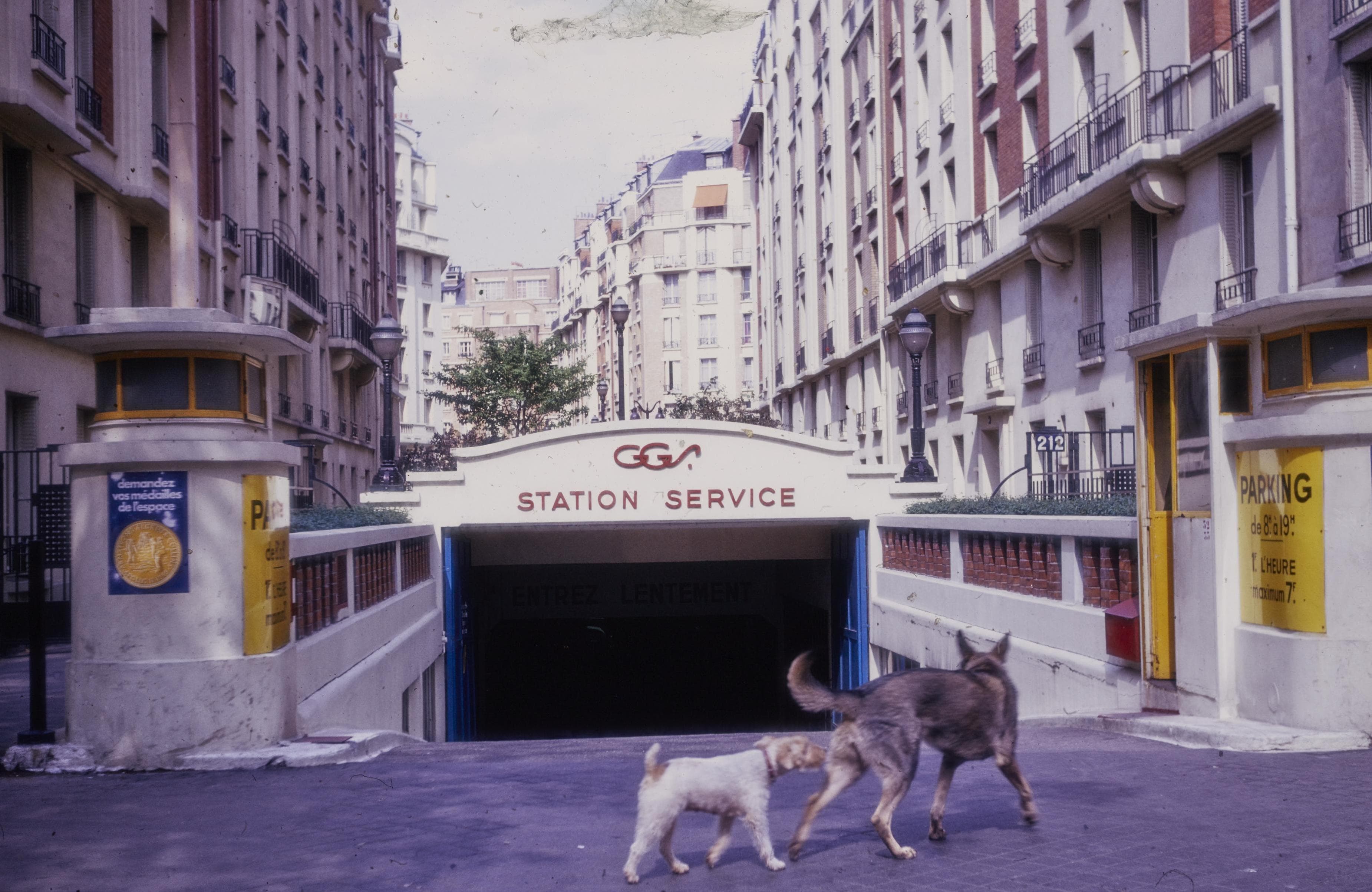 Photo d'archive