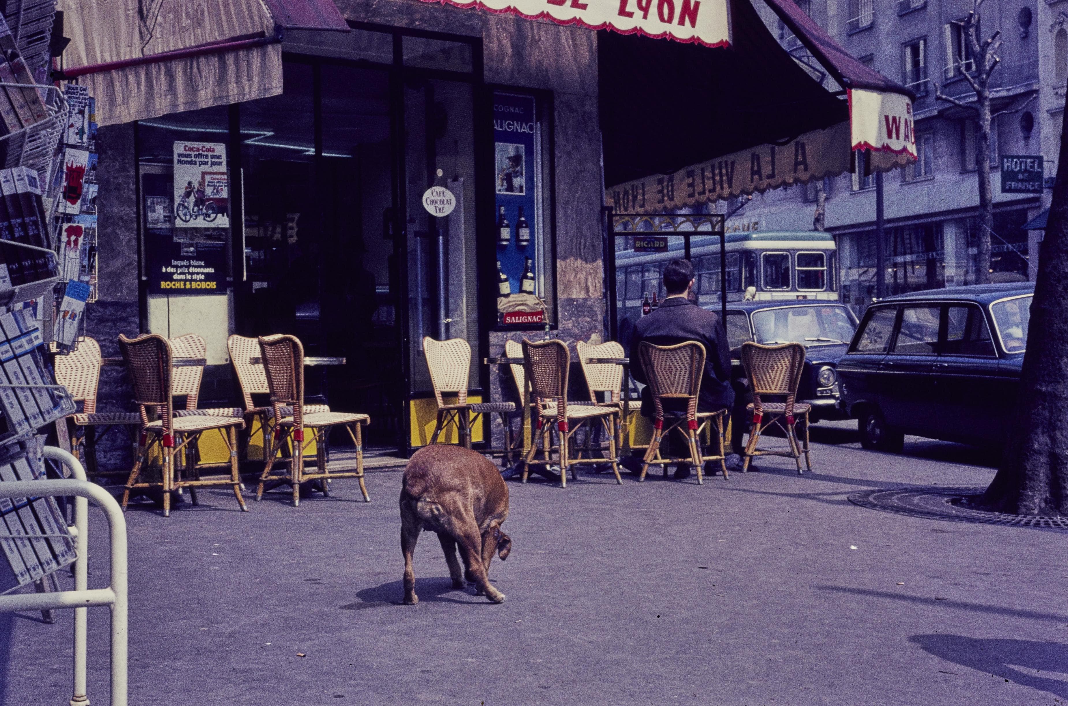 Photo d'archive