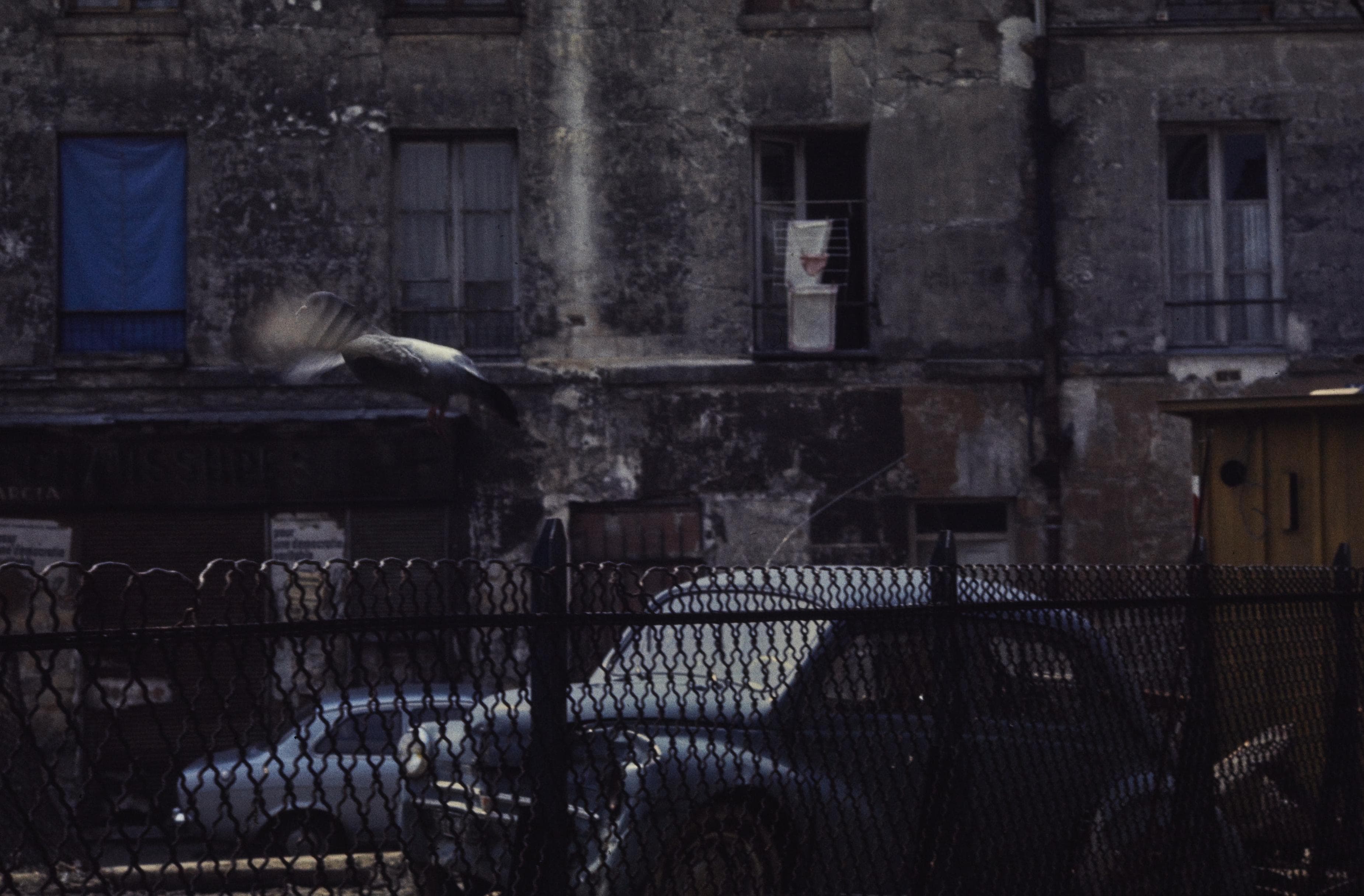 Photo d'archive