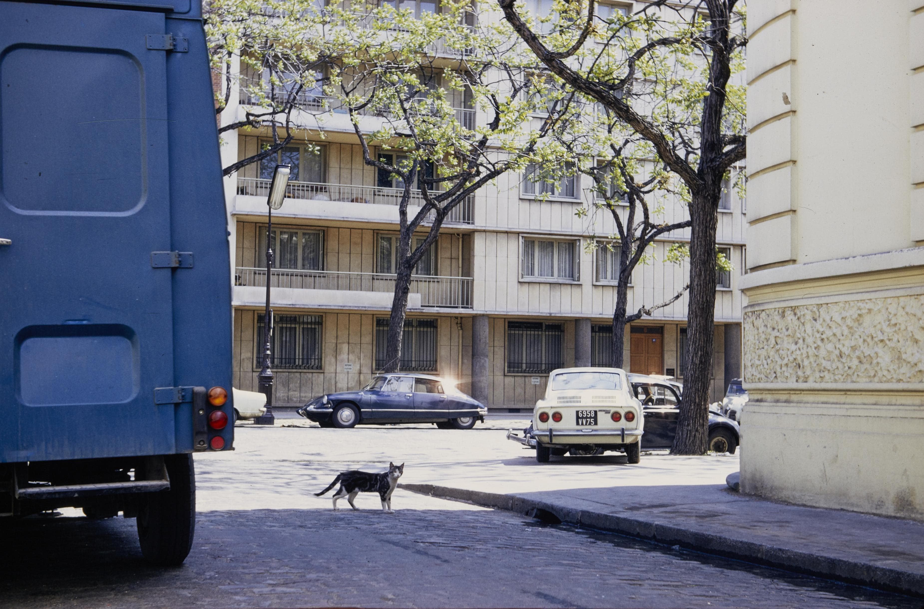 Photo d'archive