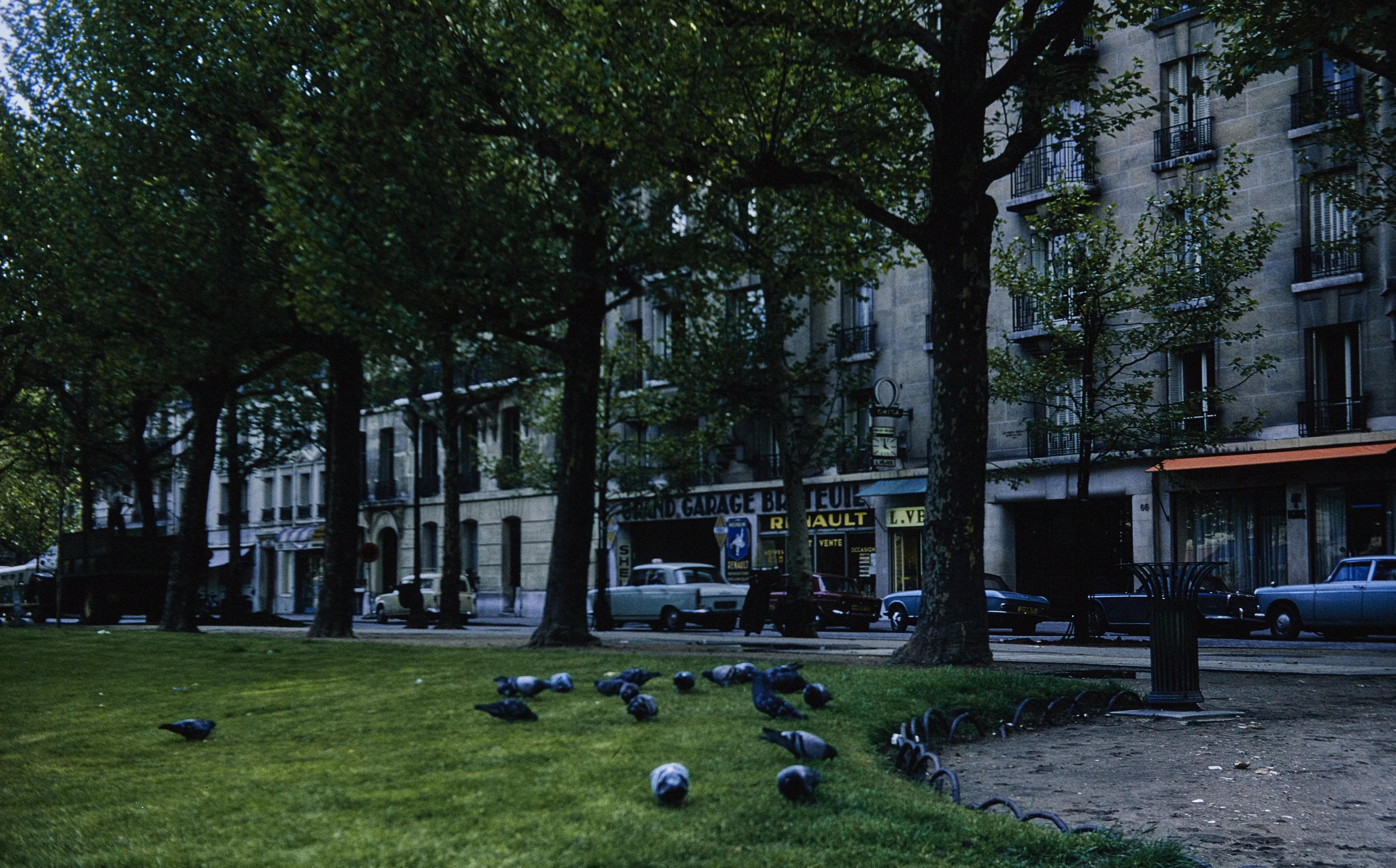 Photo d'archive