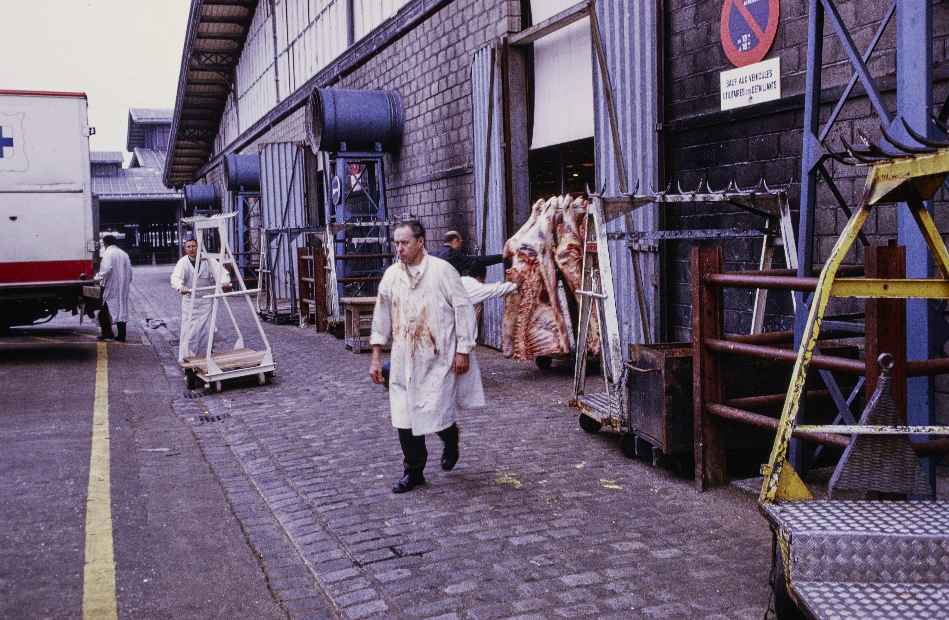 Photo d'archive