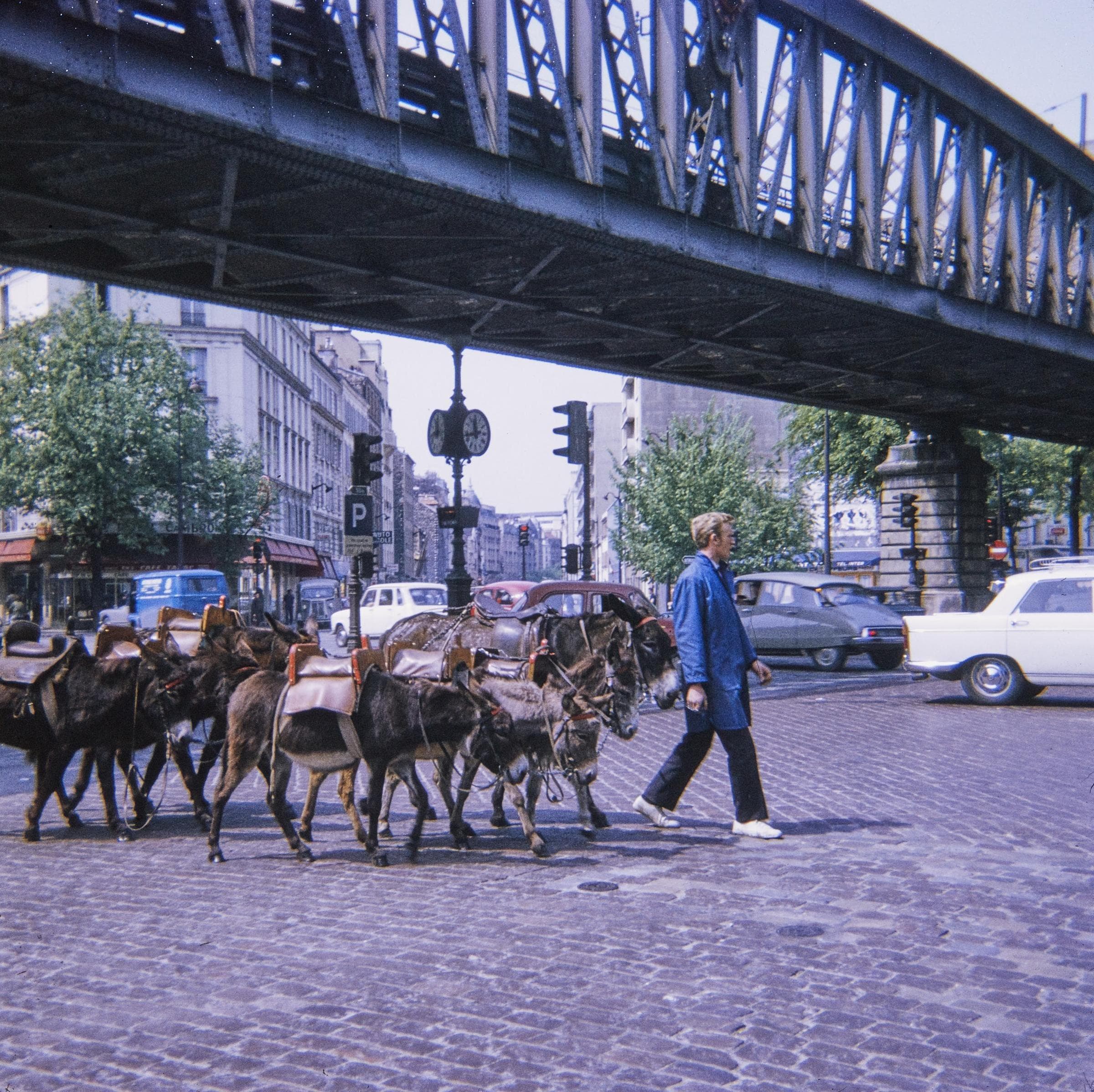 Photo d’archive : 15e arrondissement