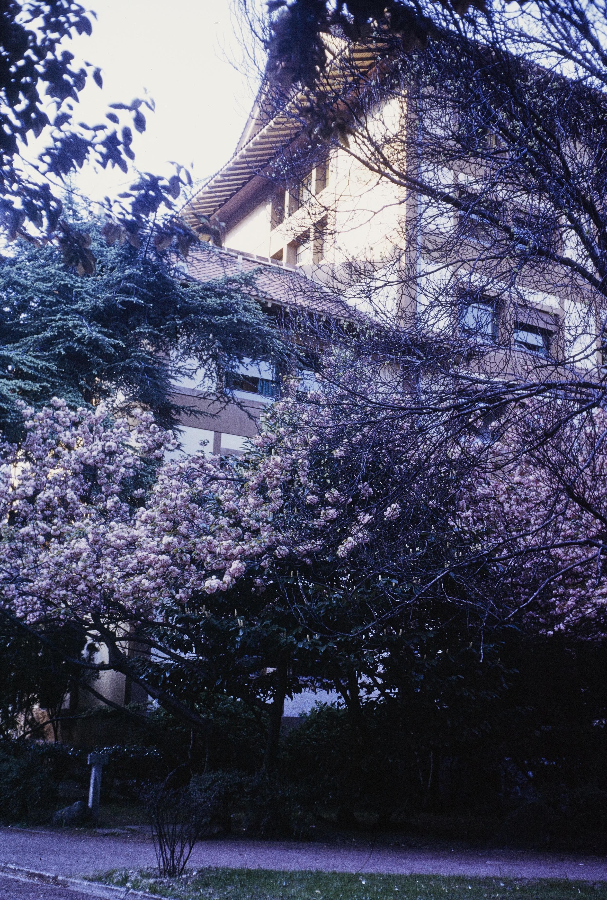 Photo d’archive : 14e arrondissement