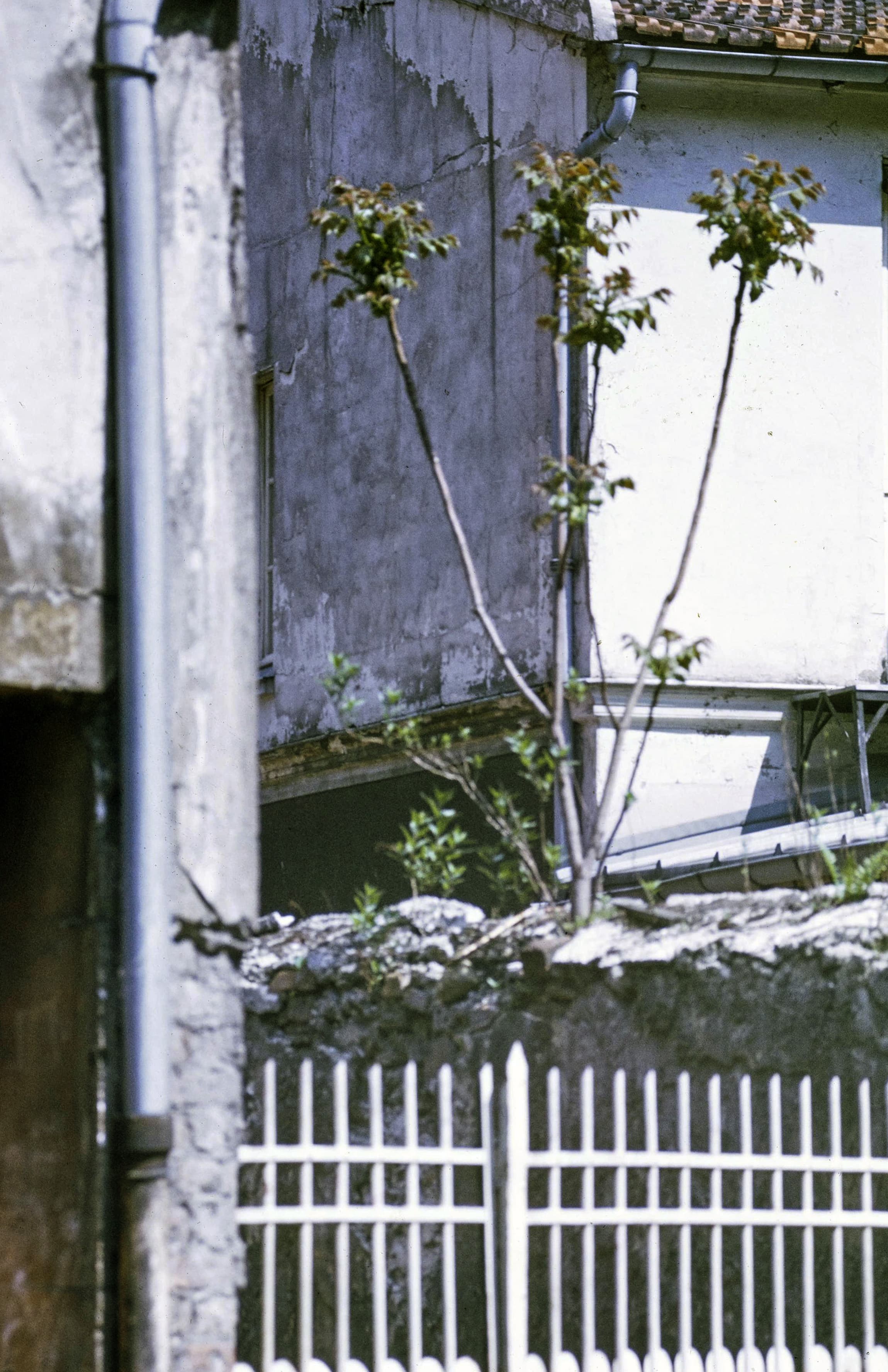 Photo d’archive : 12e arrondissement